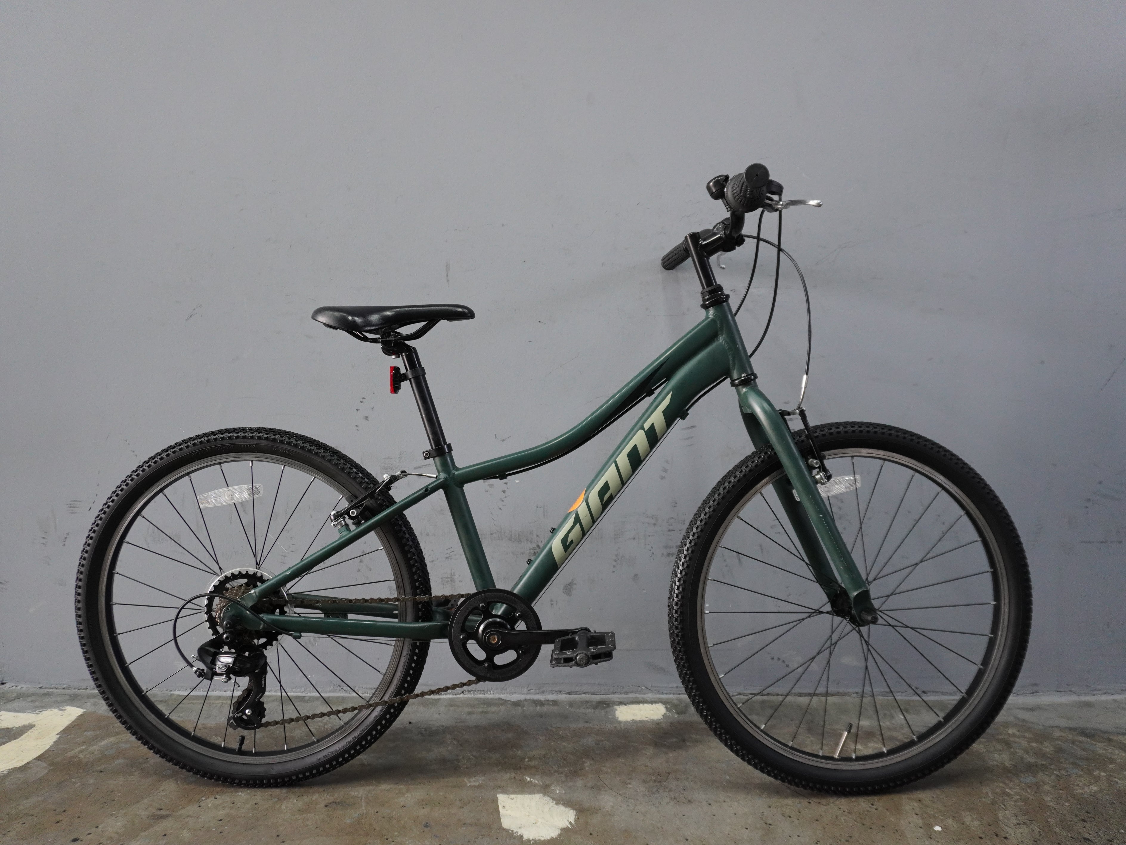 Giant XTC JR Kids Bike