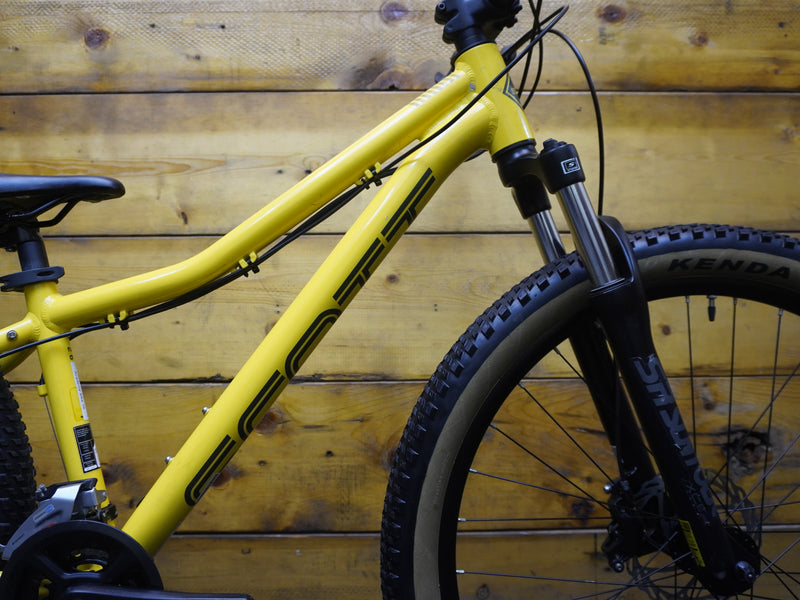 Scott Roxter 3 Mountain Bike