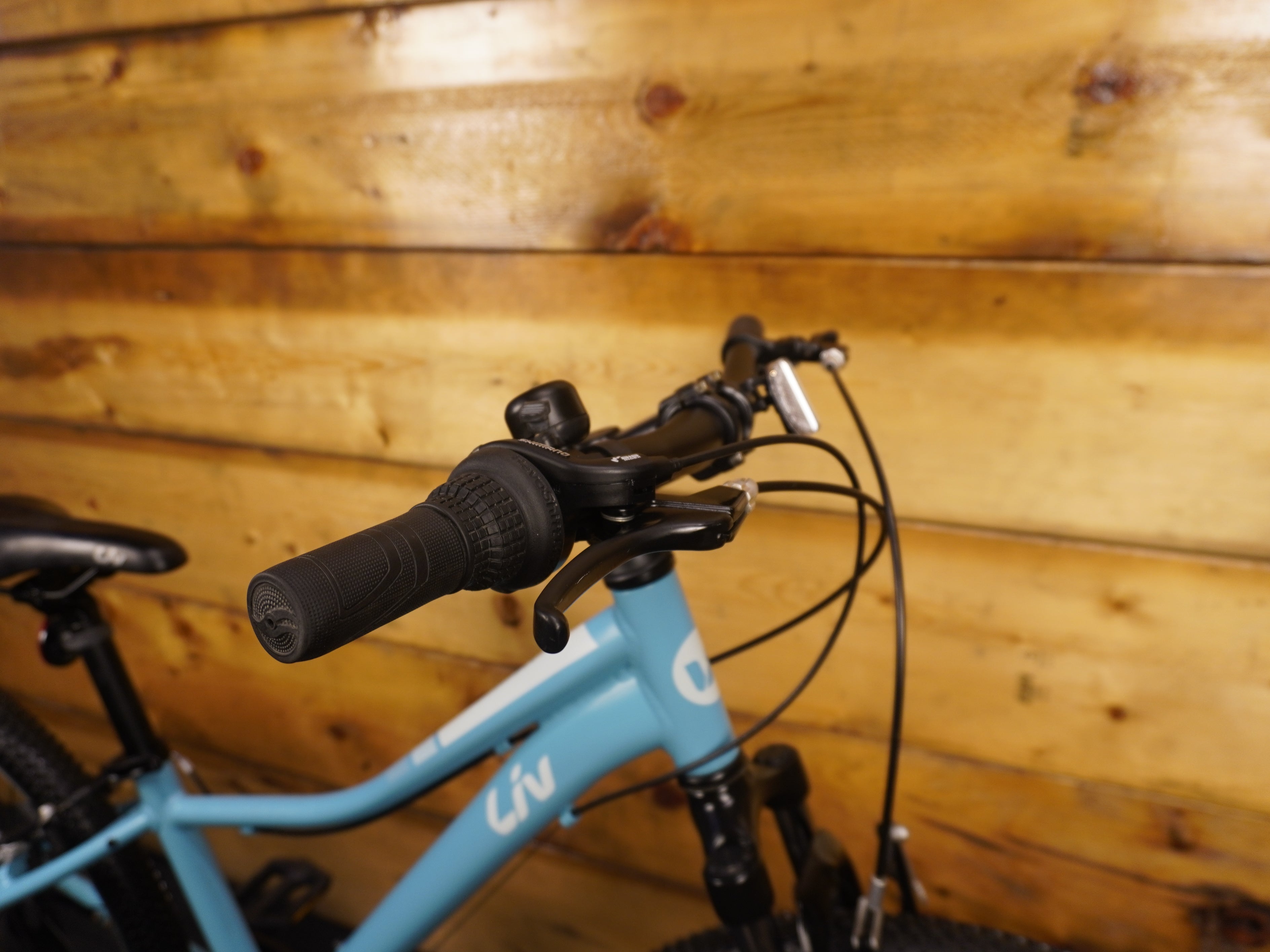 Liv Enchant Kids Bike