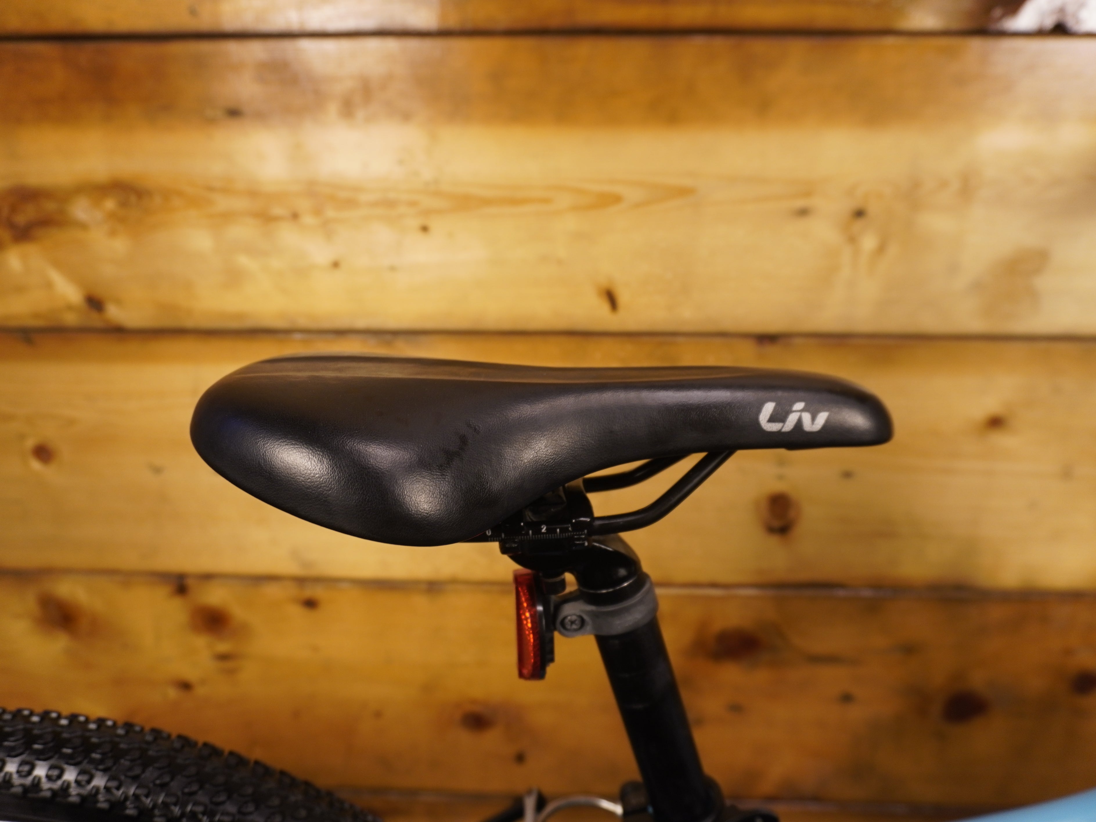 Liv Enchant Kids Bike