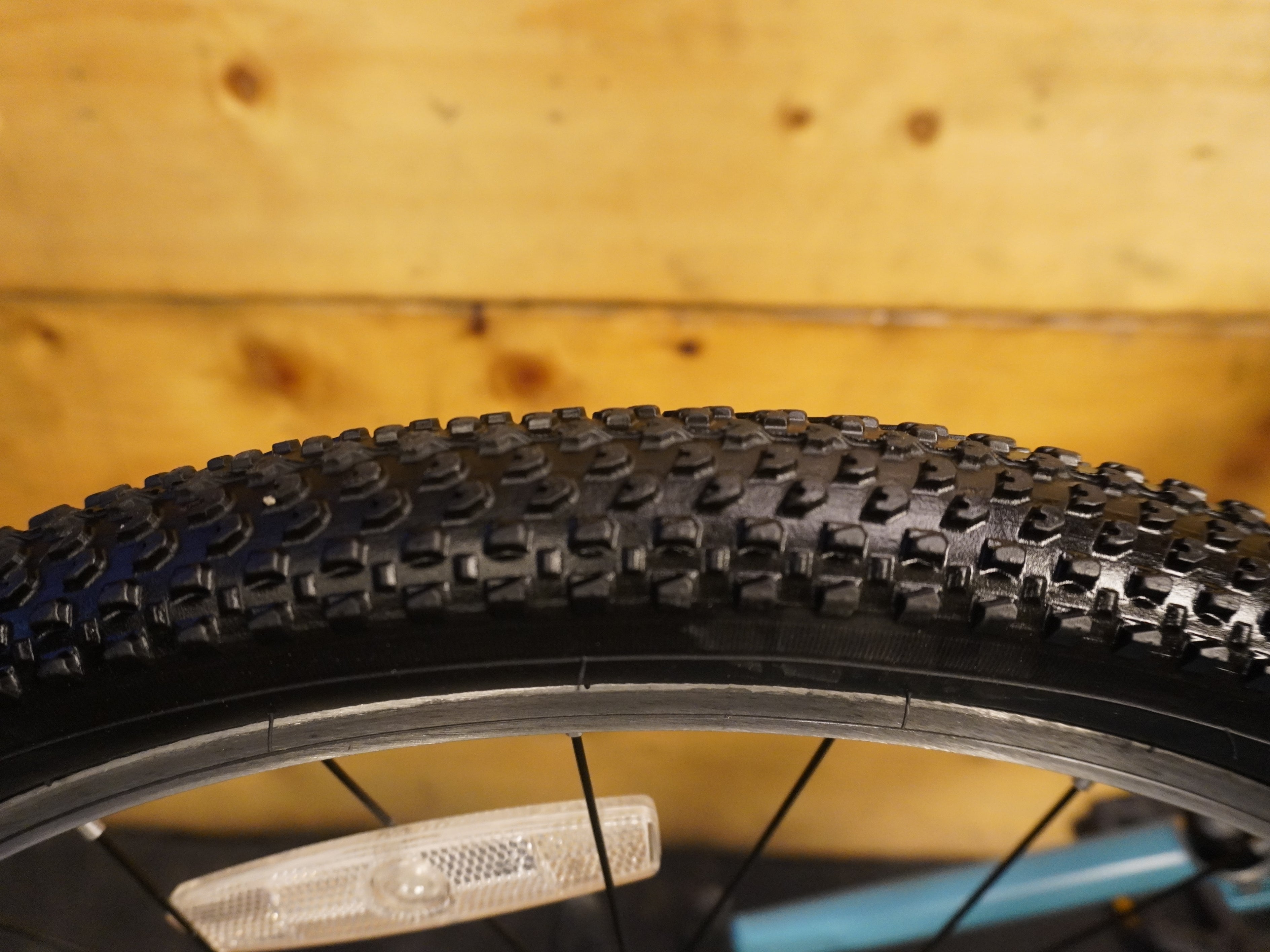 Liv Enchant Kids Bike