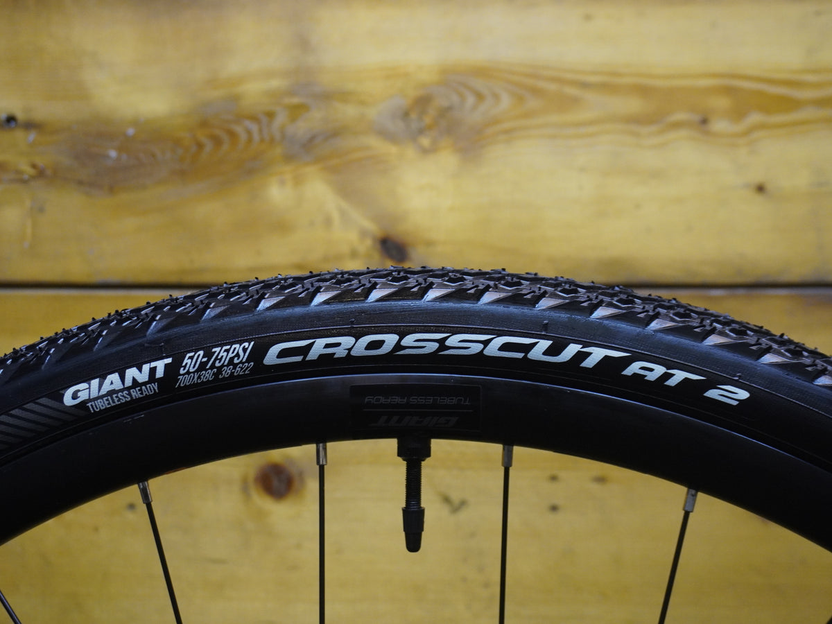 Giant Revolt 2 Gravel Bike