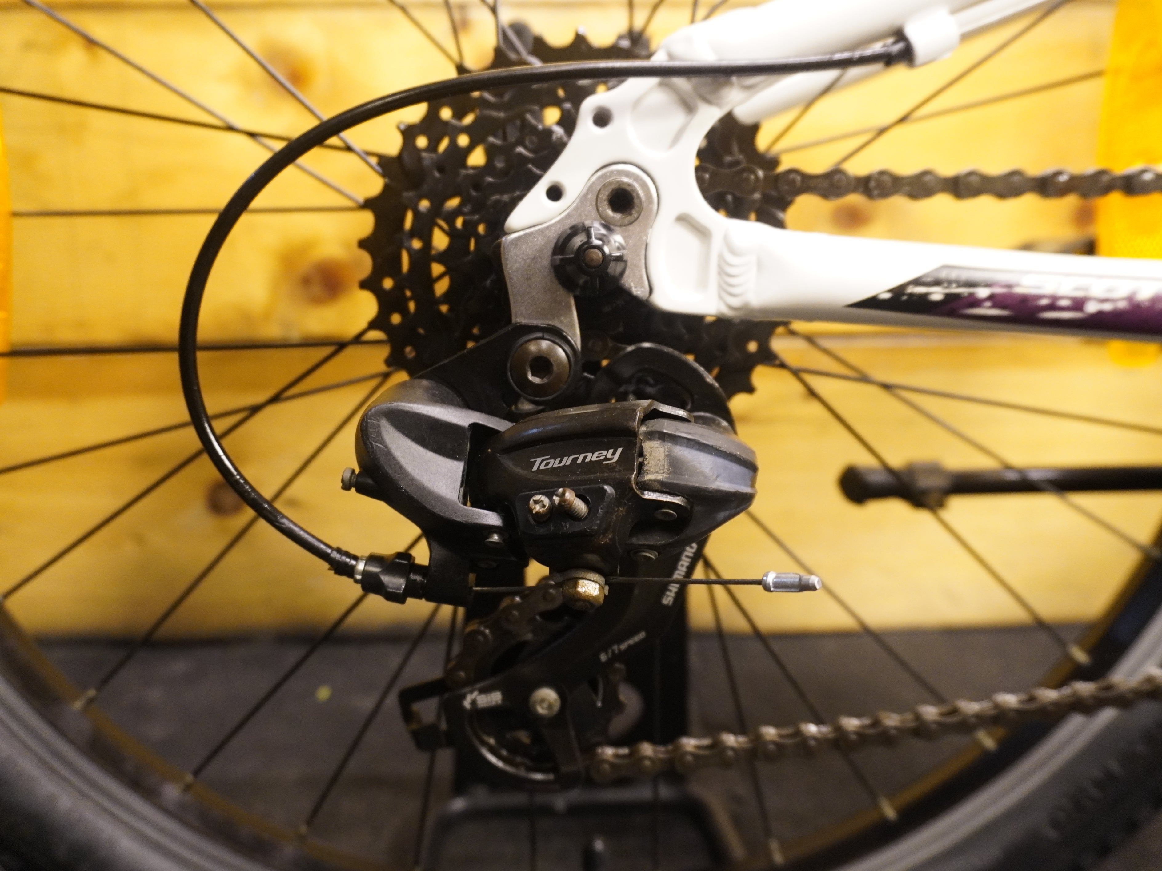 RENT Scott Scale JR Kids Bike