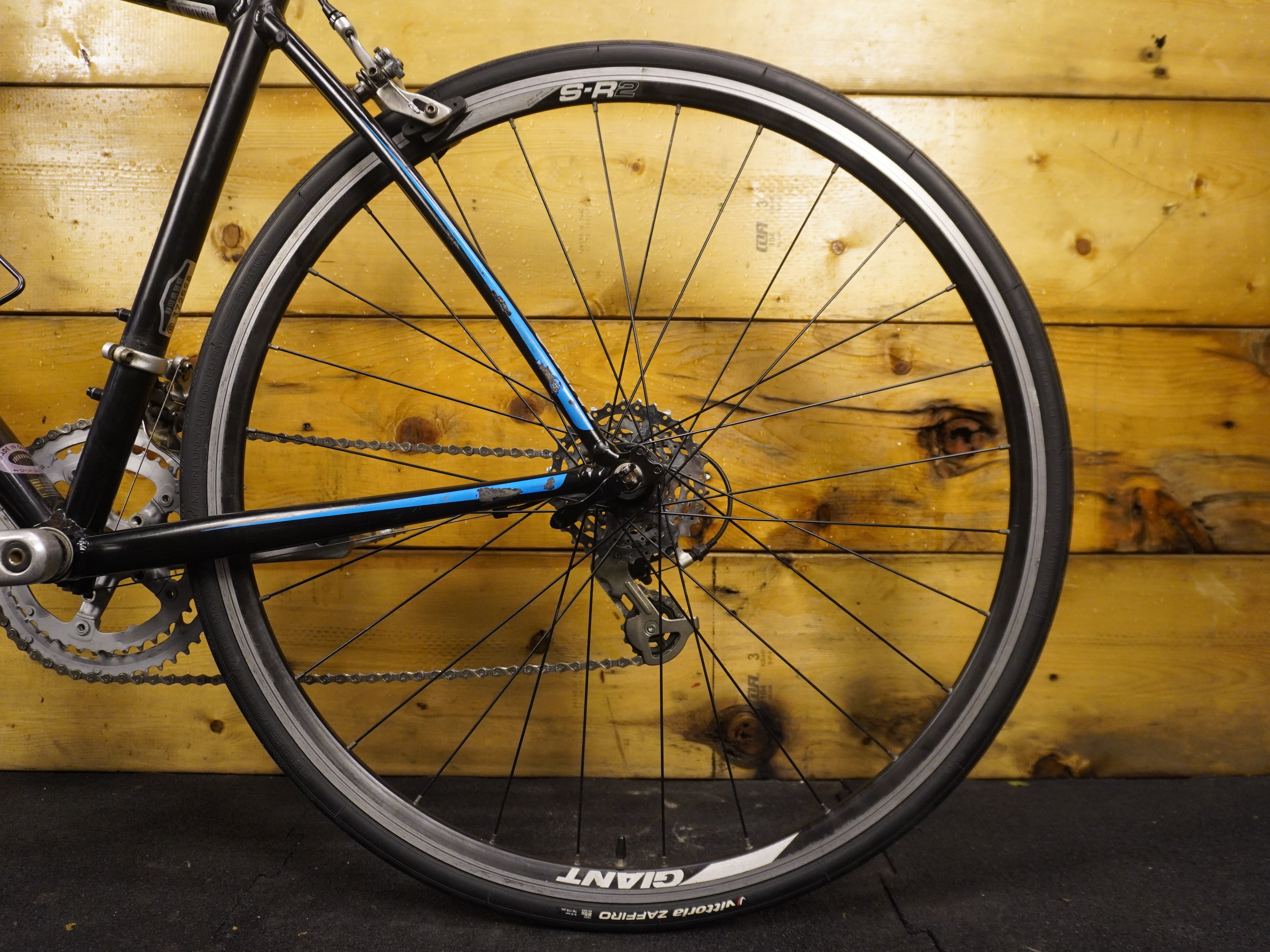 RENT Giant Pace Road Bike