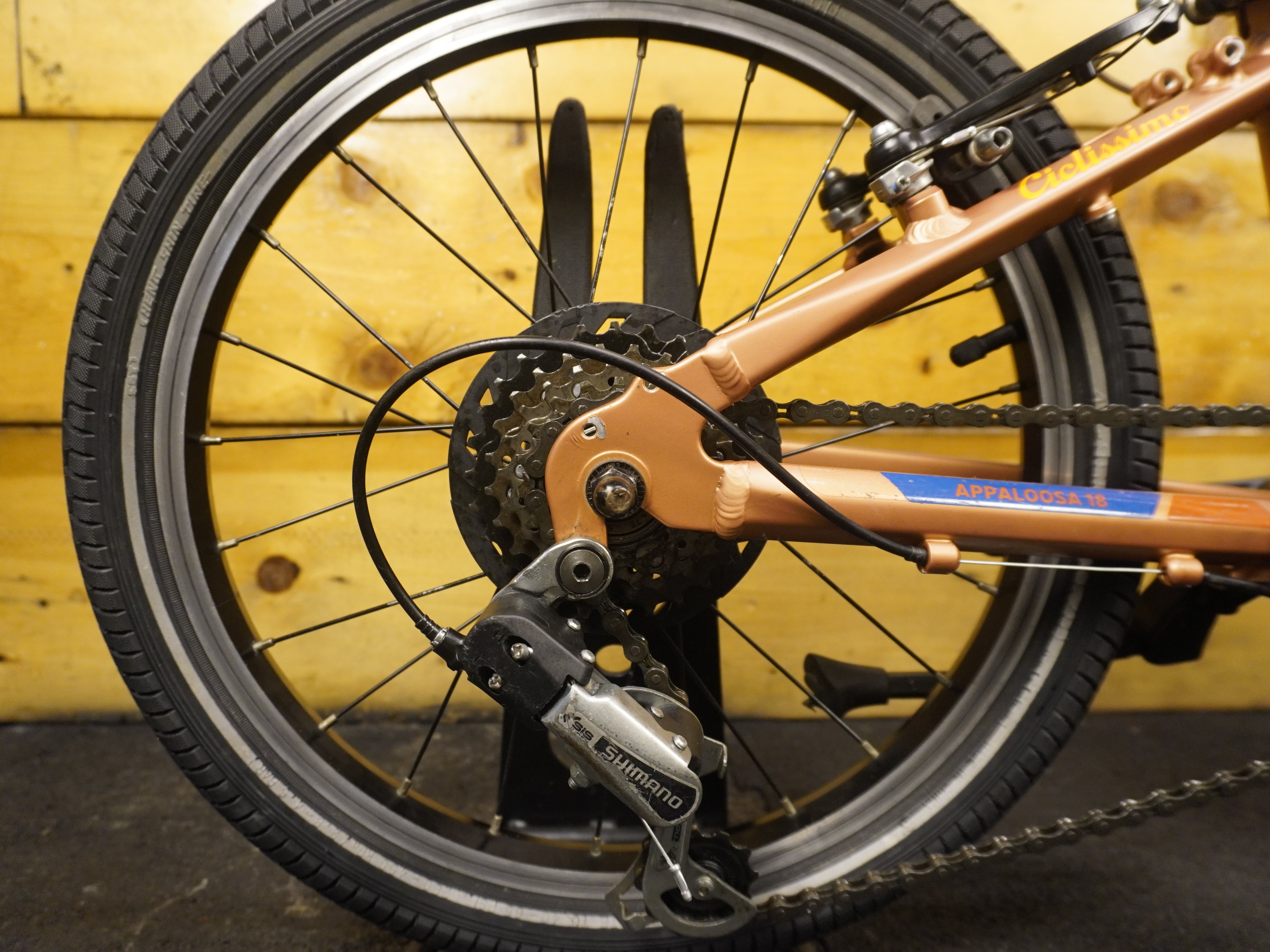 RENT Mustang Appaloosa 18 kids Bike