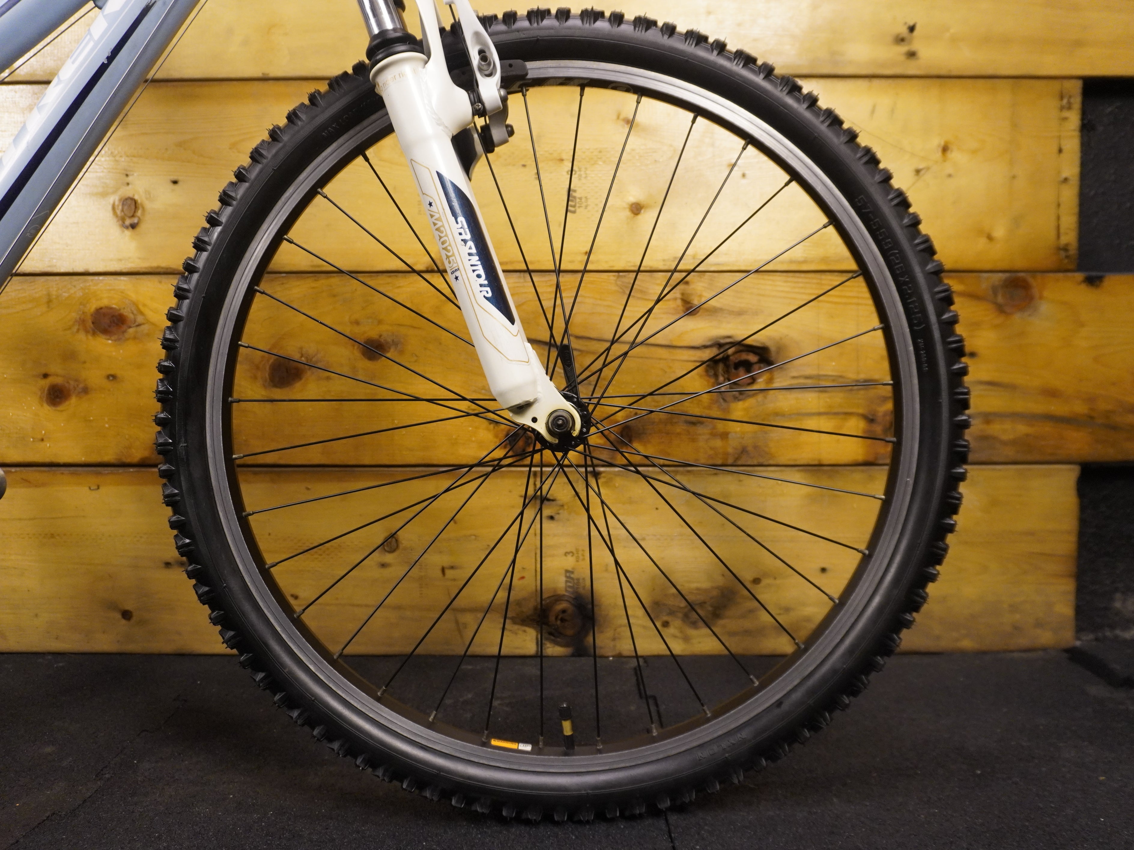 Trek Skye Series Mountain Bike