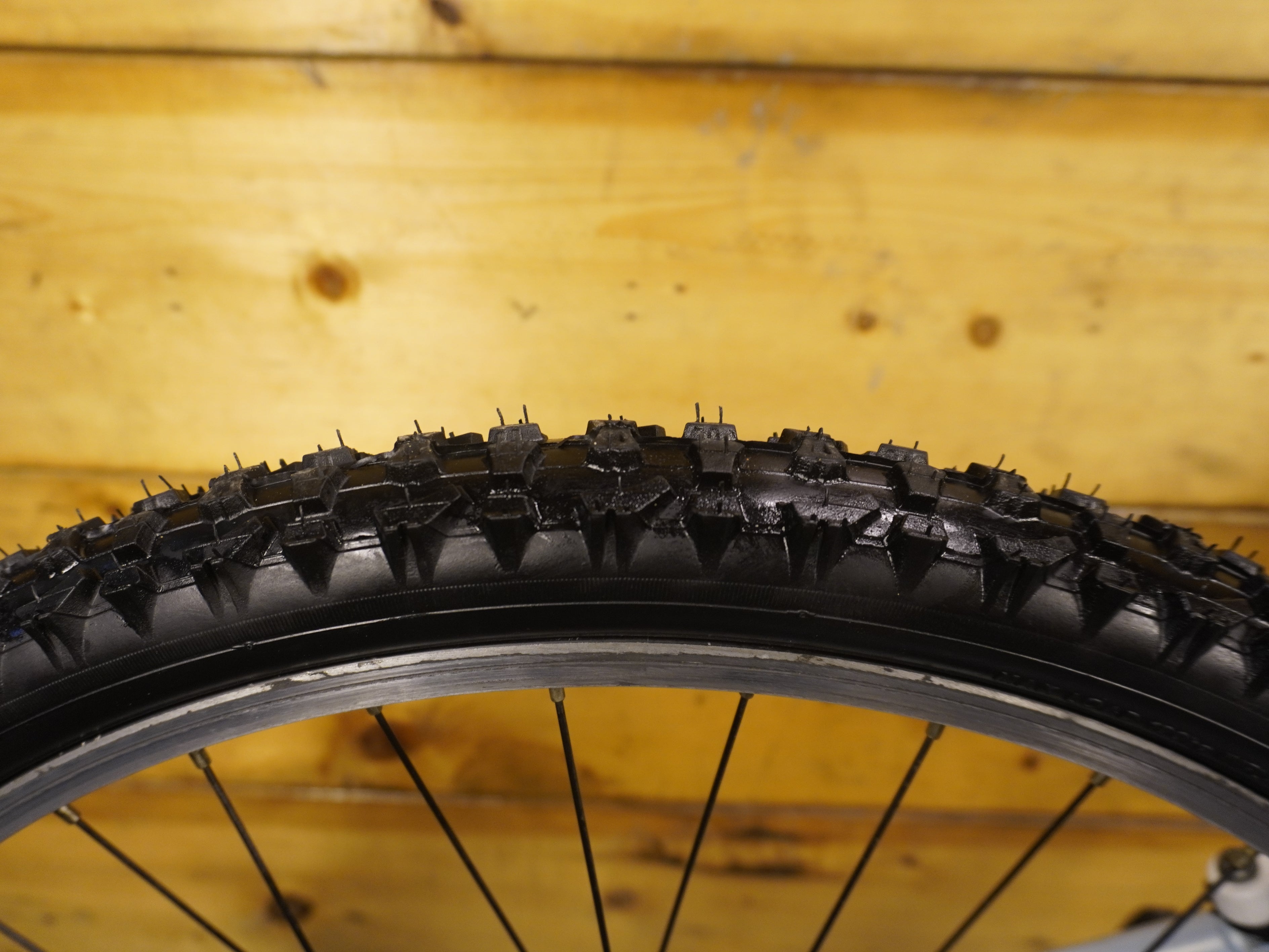 Trek Skye Series Mountain Bike