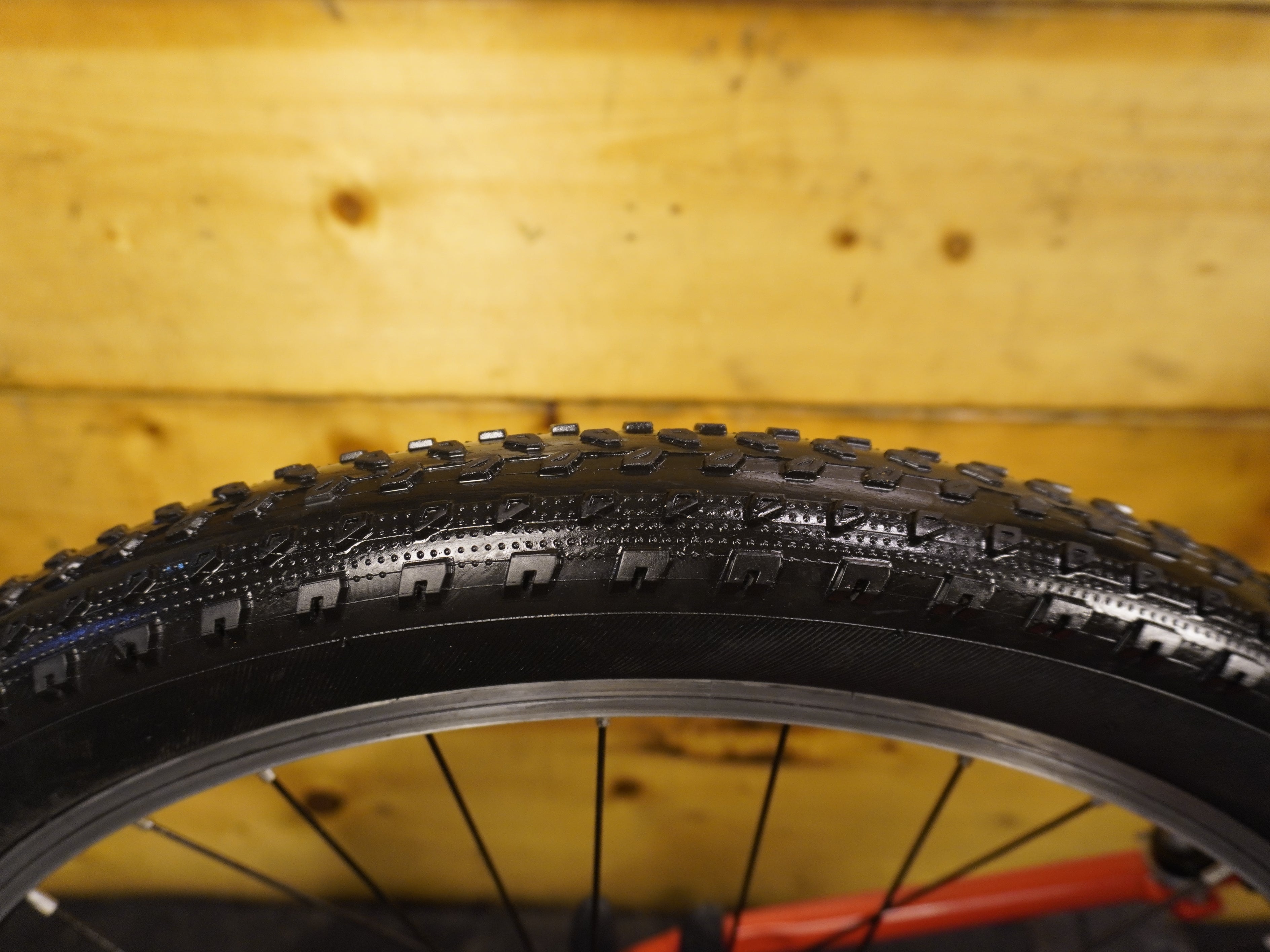 RENT Trek Precaliber 24 kids Bike