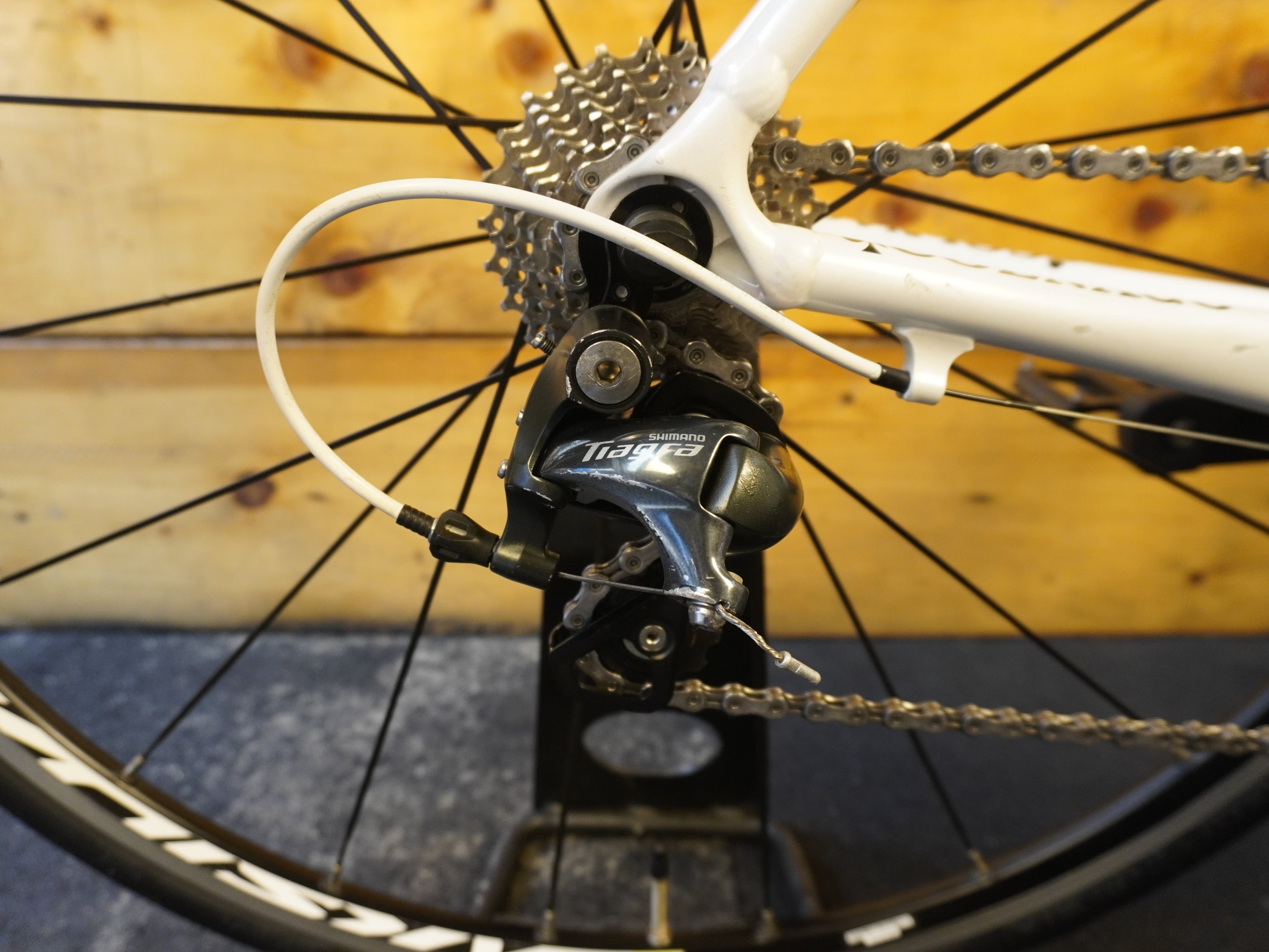 Colnago Mondo Road Bike