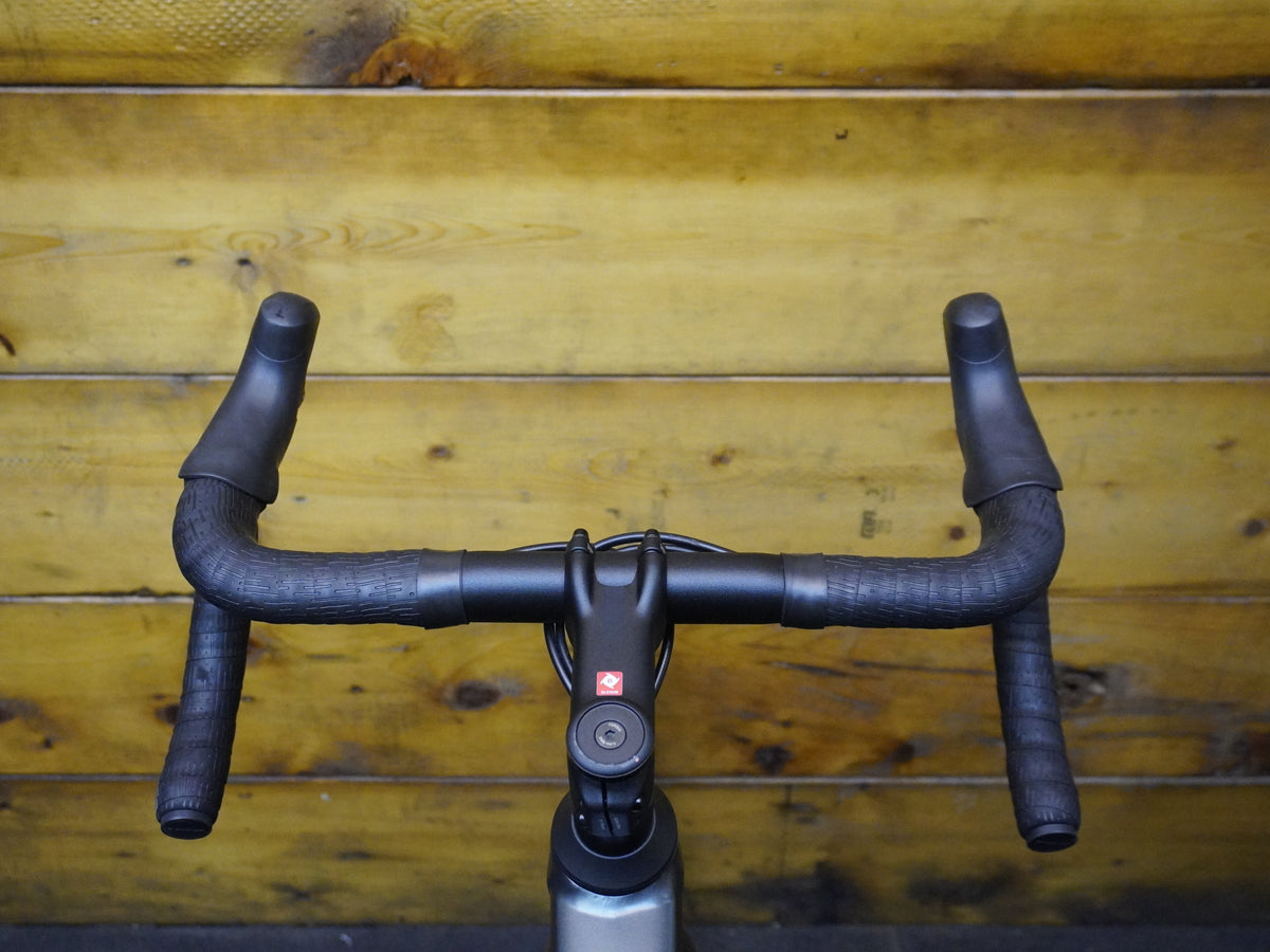 RENT Trek Domane AL 2 Road Bike