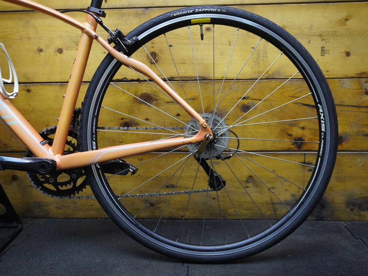 RENT Specialized Dolce Sport Road Bike