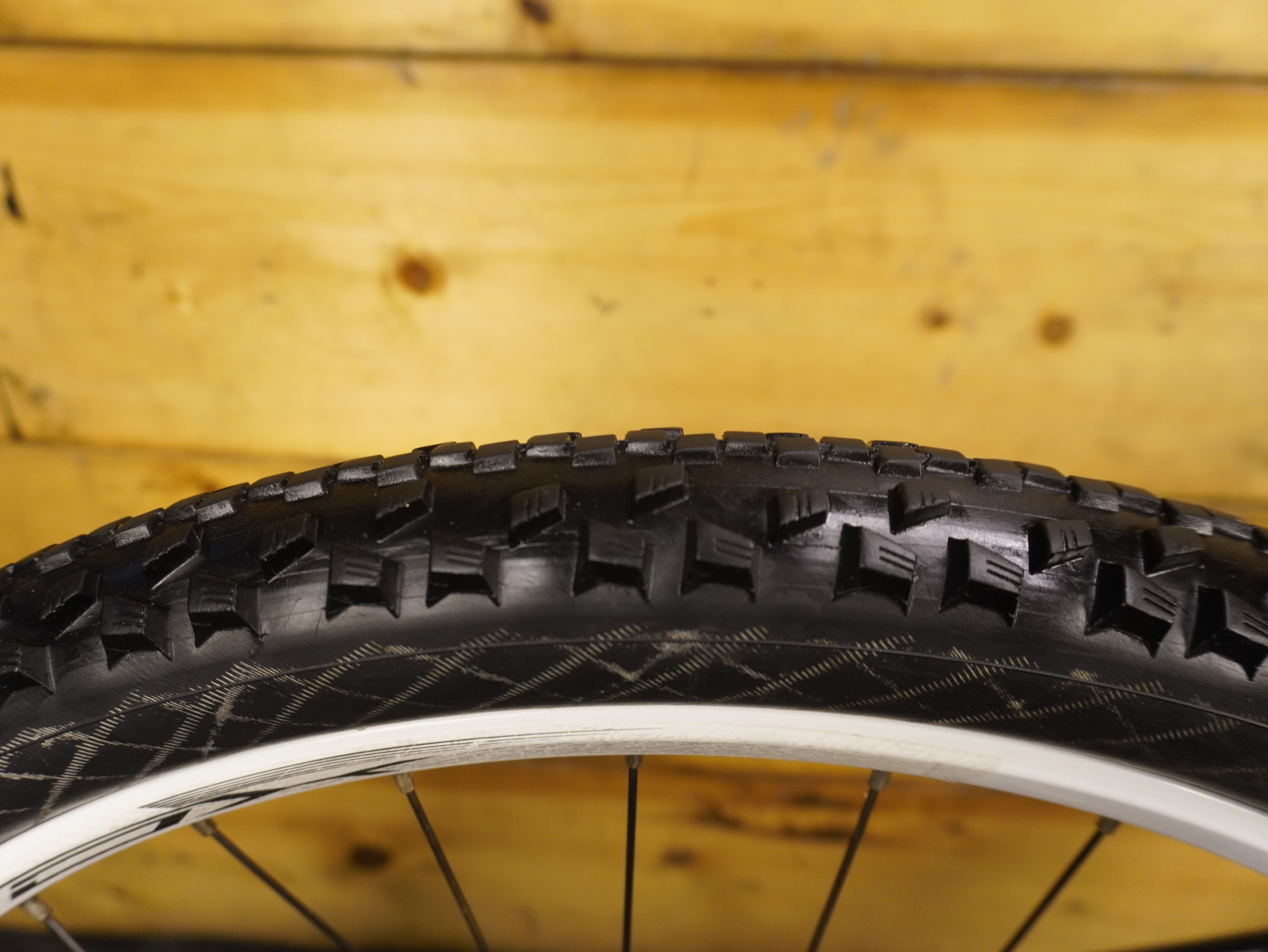 RENT Scott Contessa 30 Mountain bike