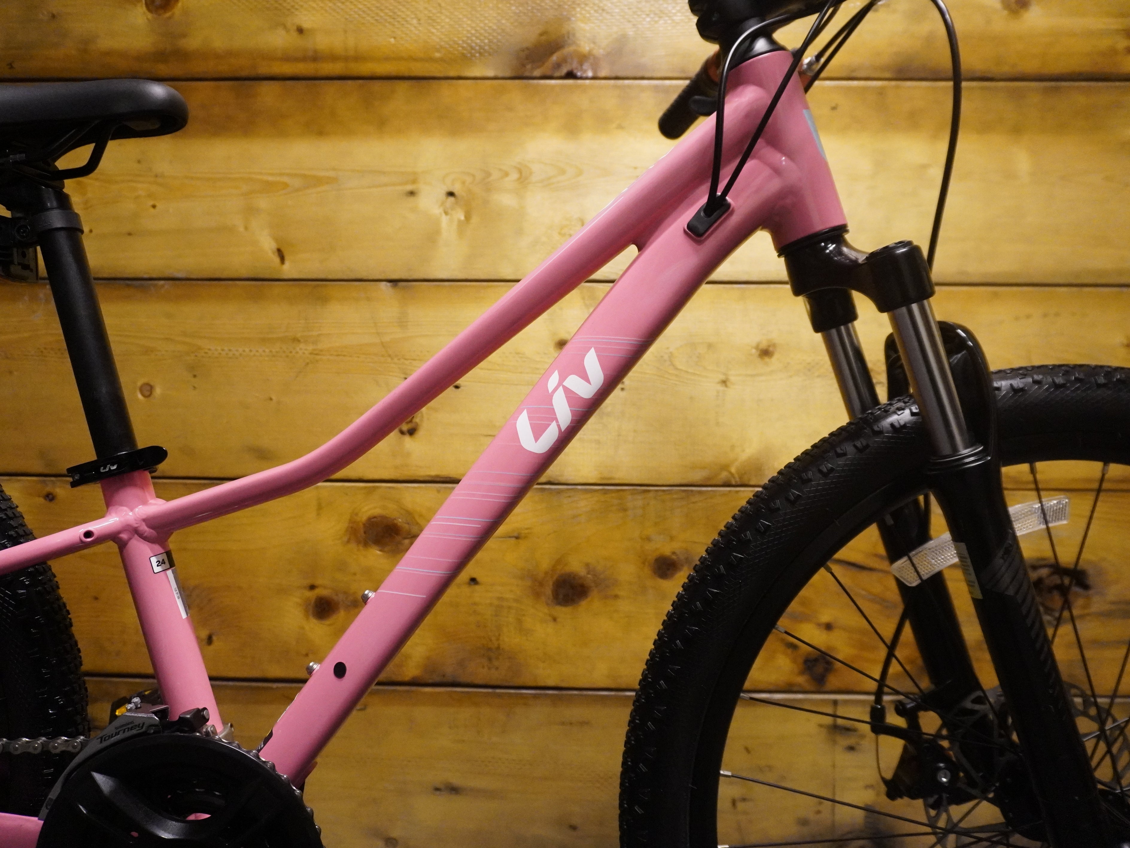 Liv Cate 24 Kids Bike