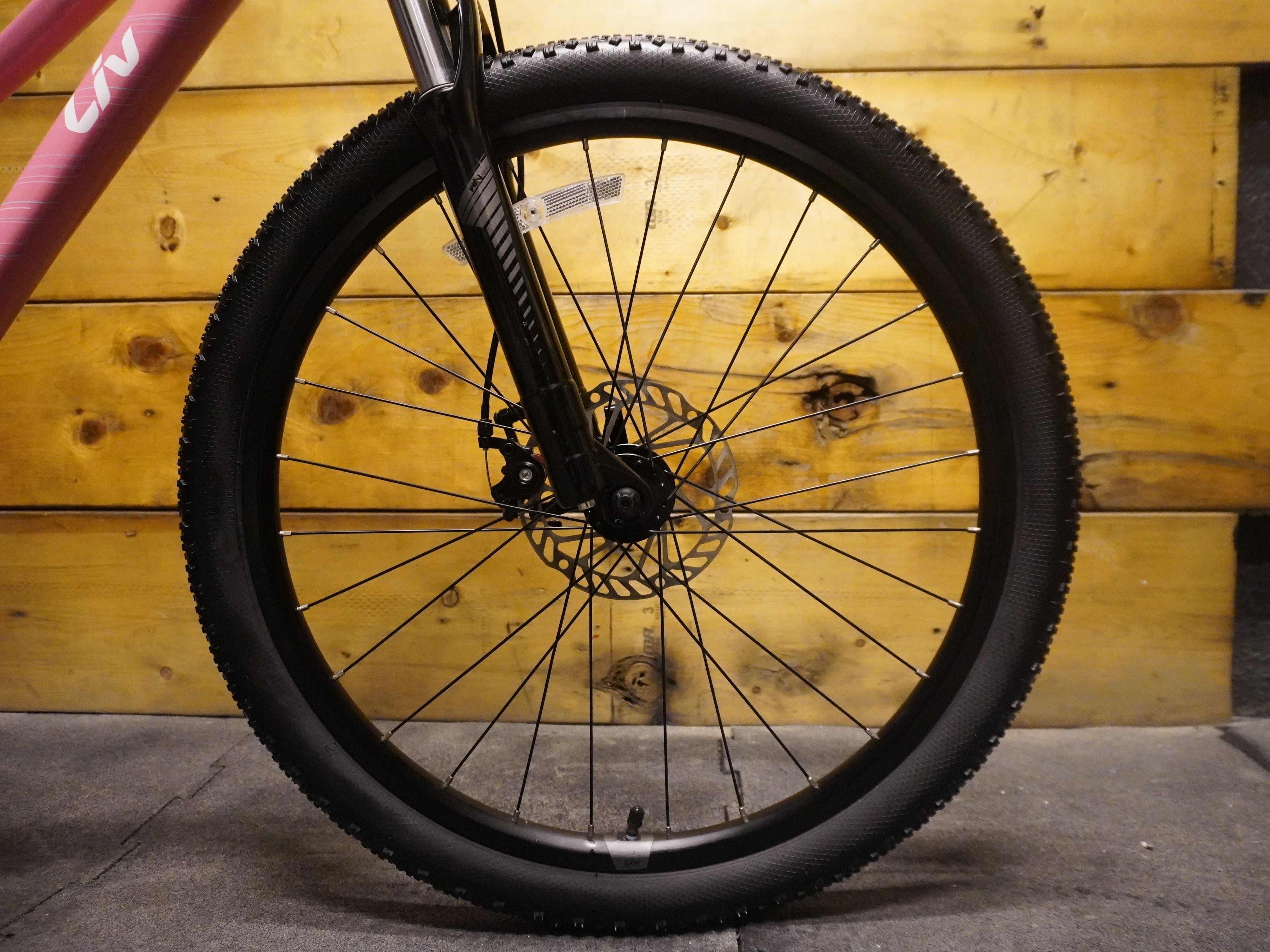 Liv Cate 24 Kids Bike