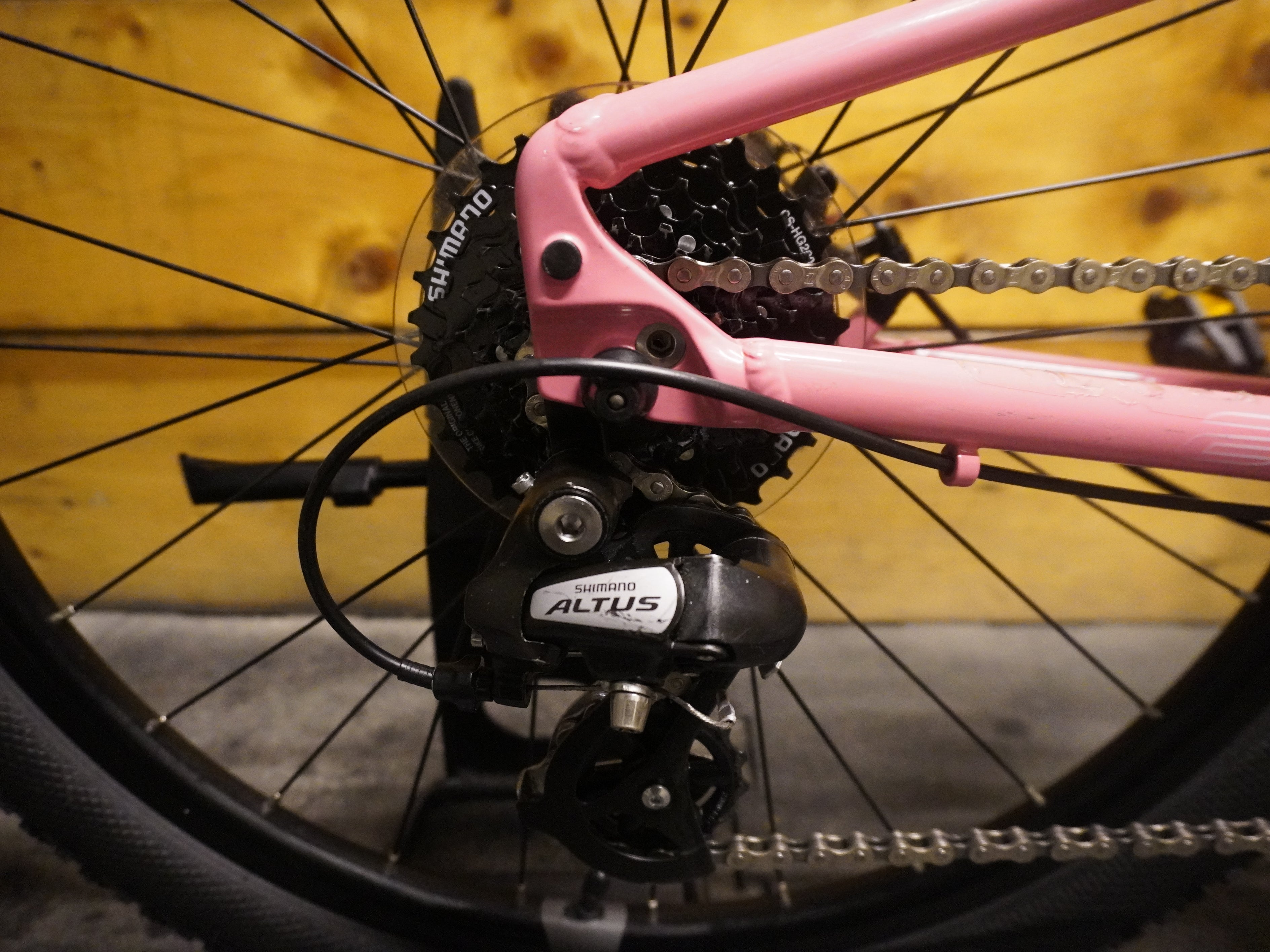 Liv Cate 24 Kids Bike