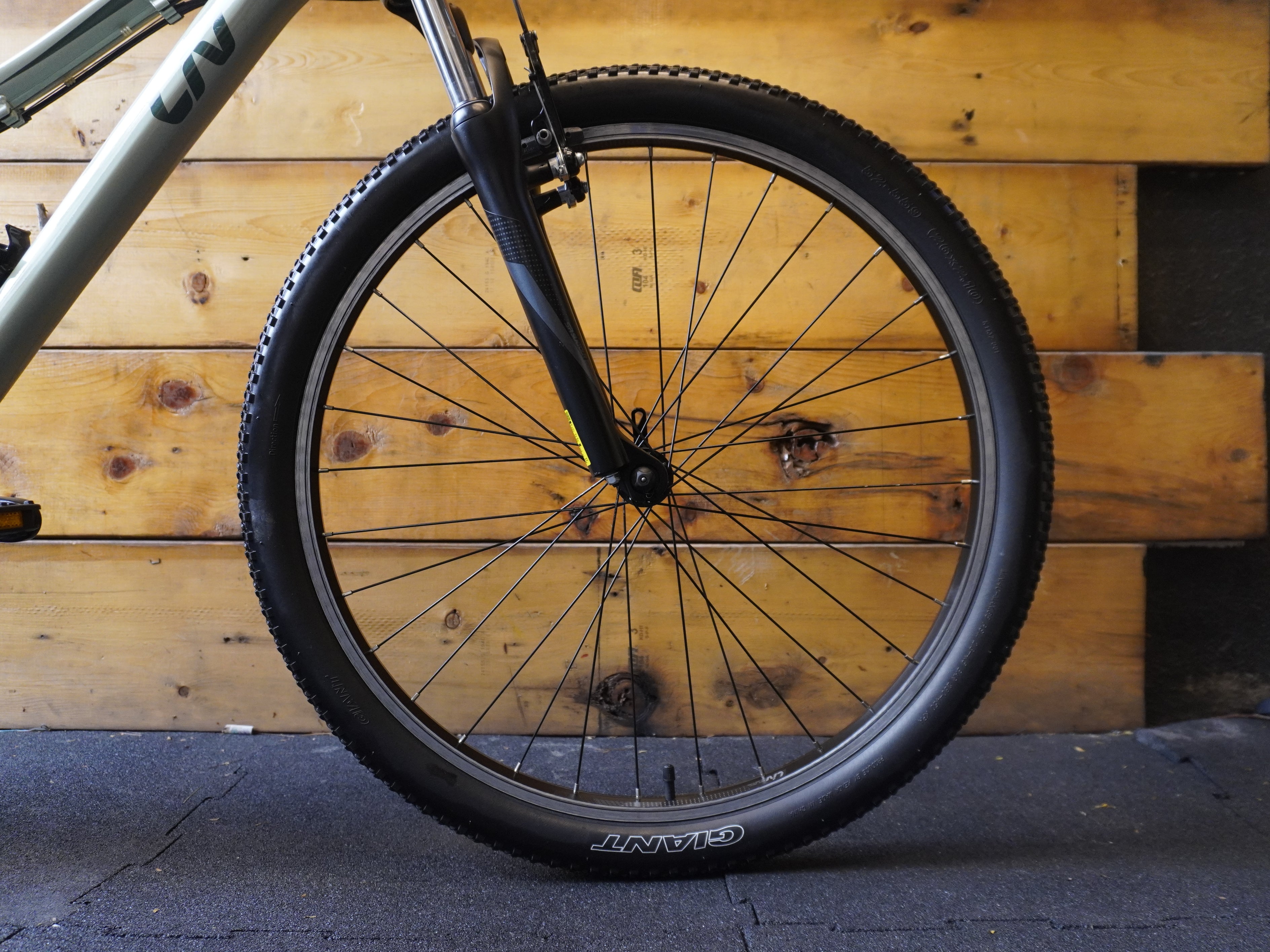 Liv Bliss Mountain Bike
