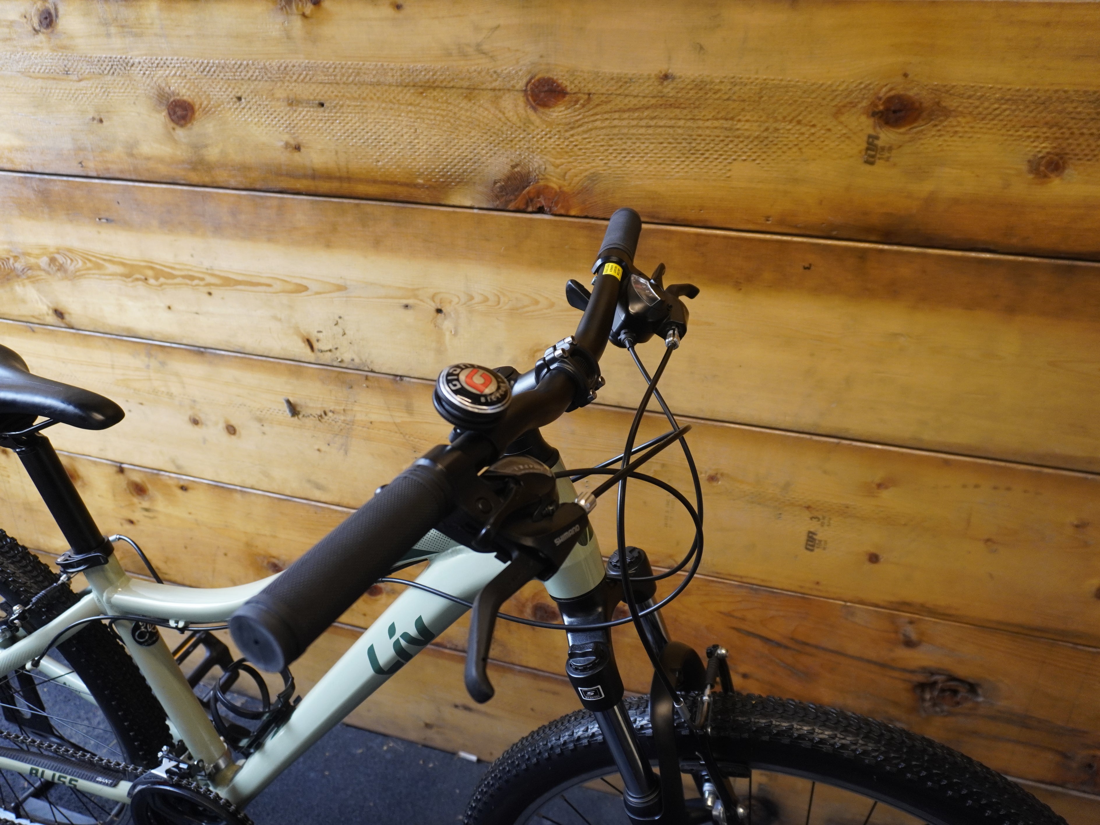 Liv Bliss Mountain Bike
