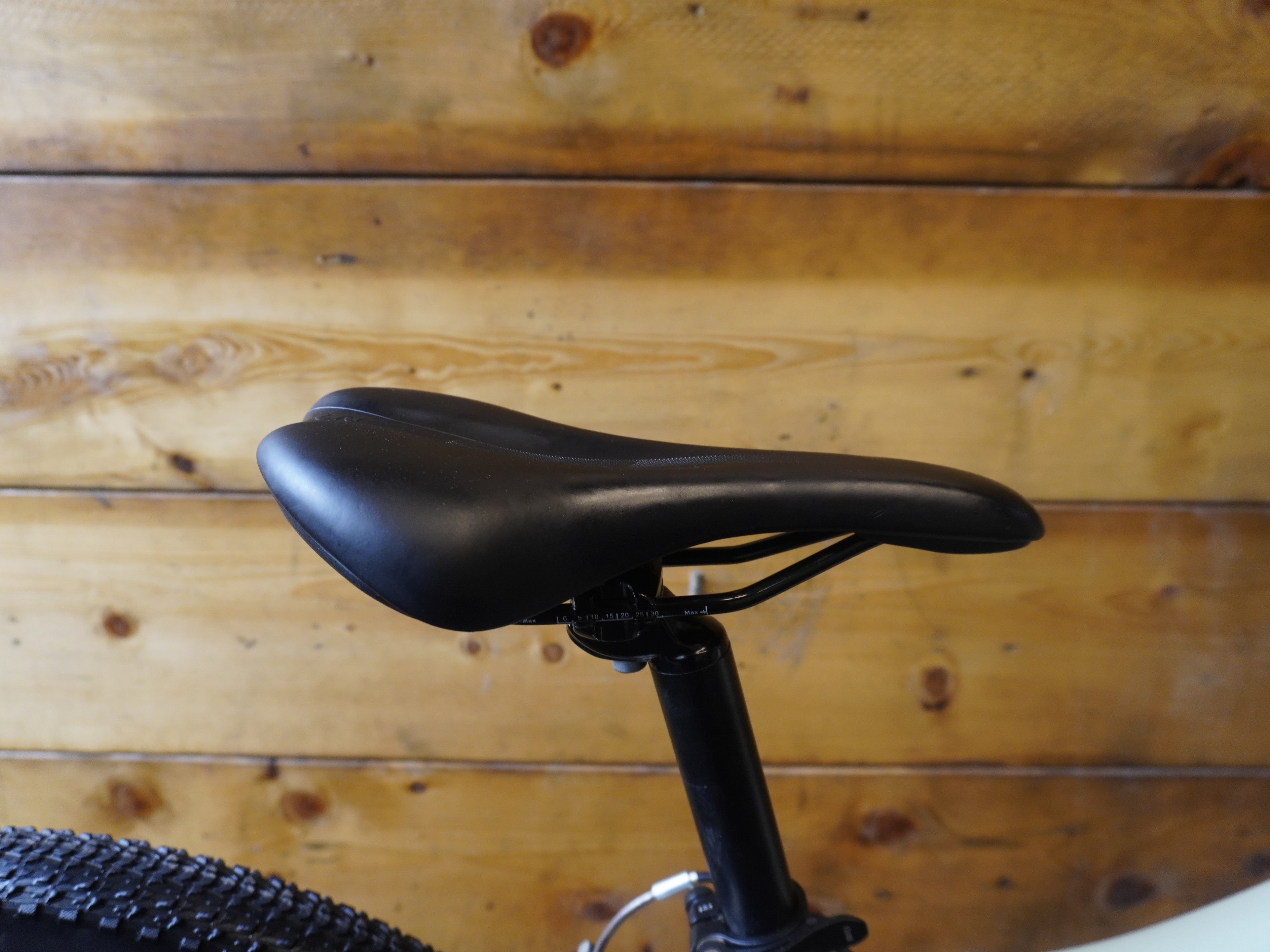 Liv Bliss Mountain Bike