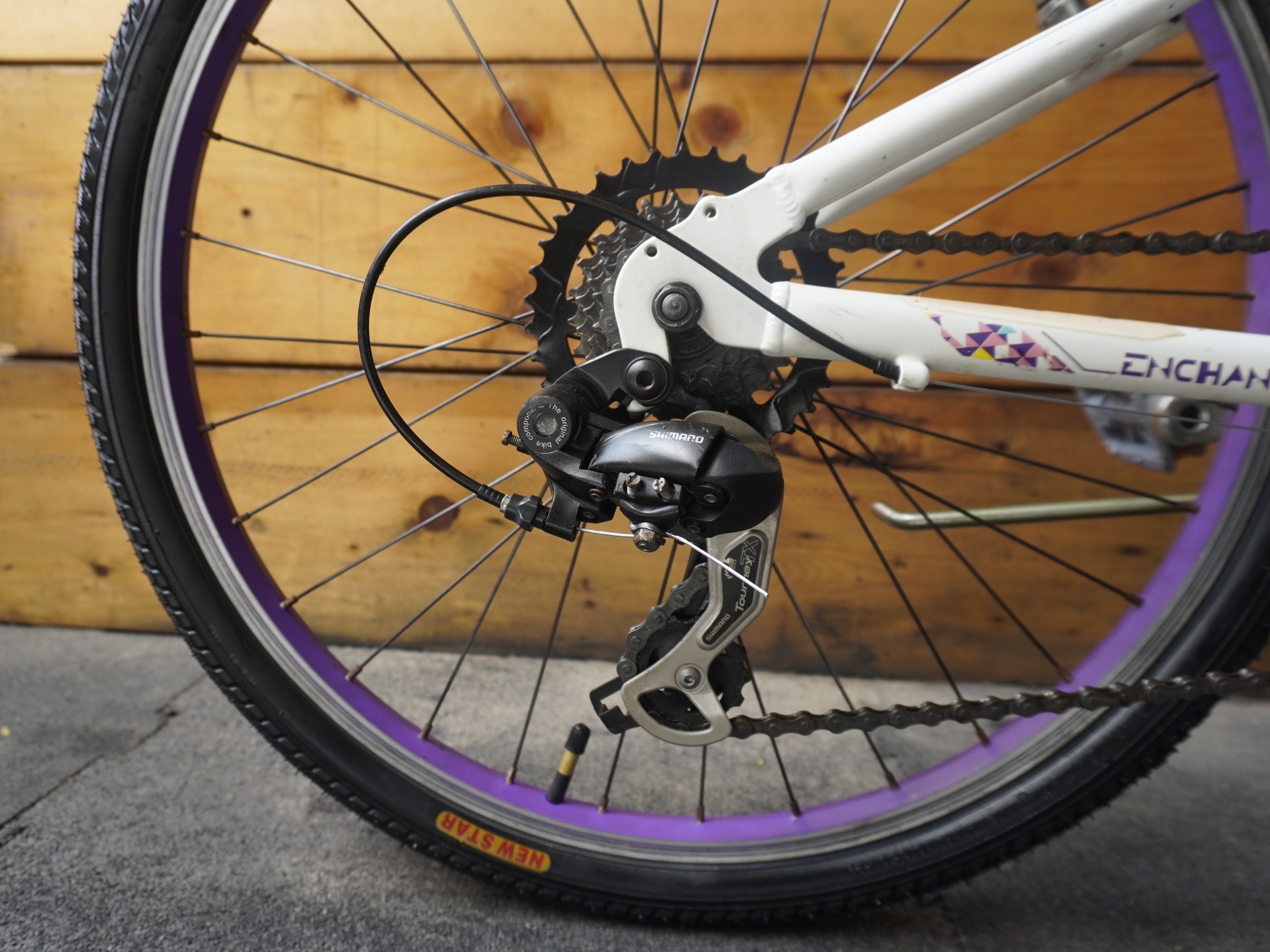 RENT Liv Enchant Kids Bike