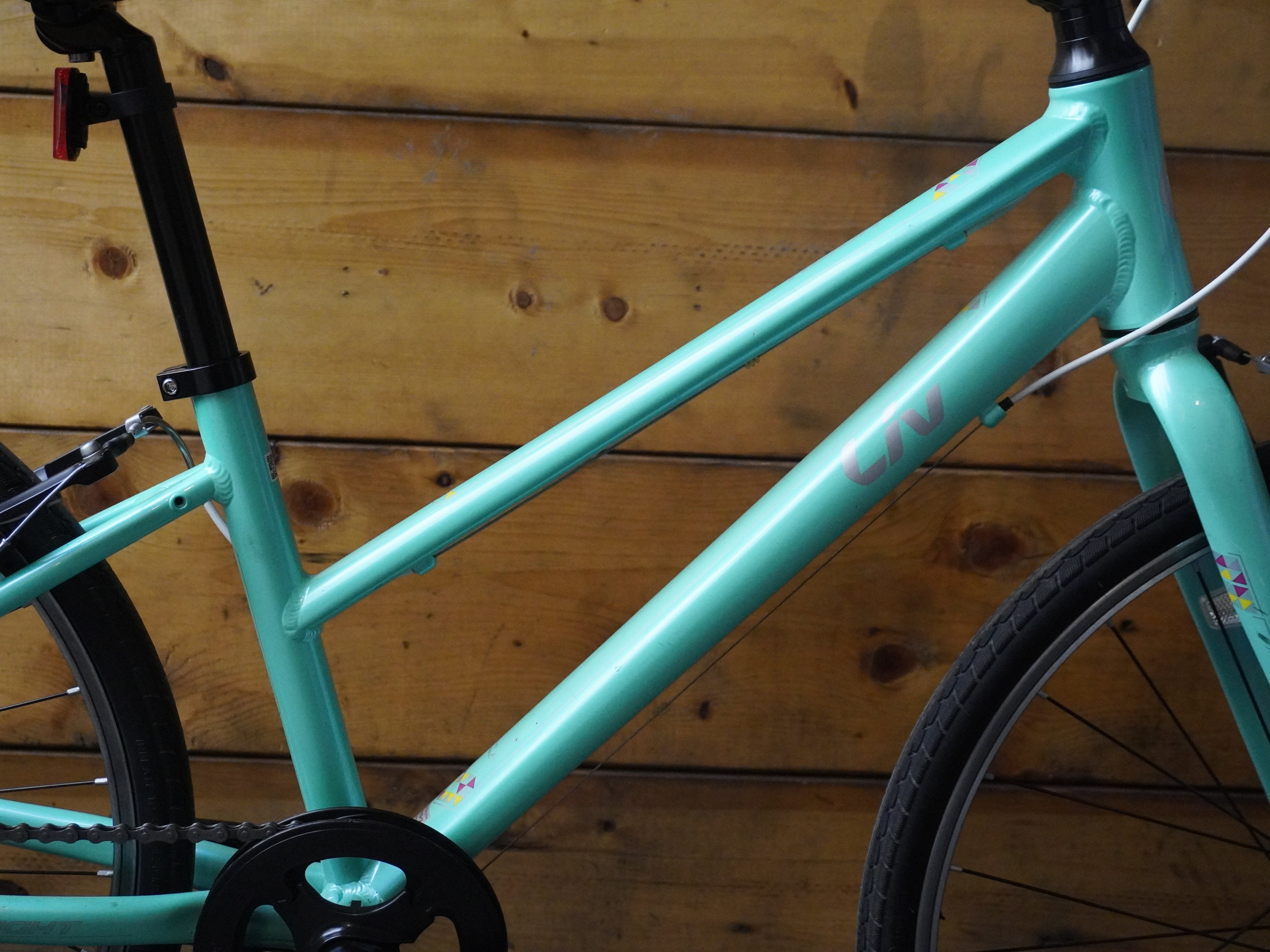 Liv Alight Kids Bike