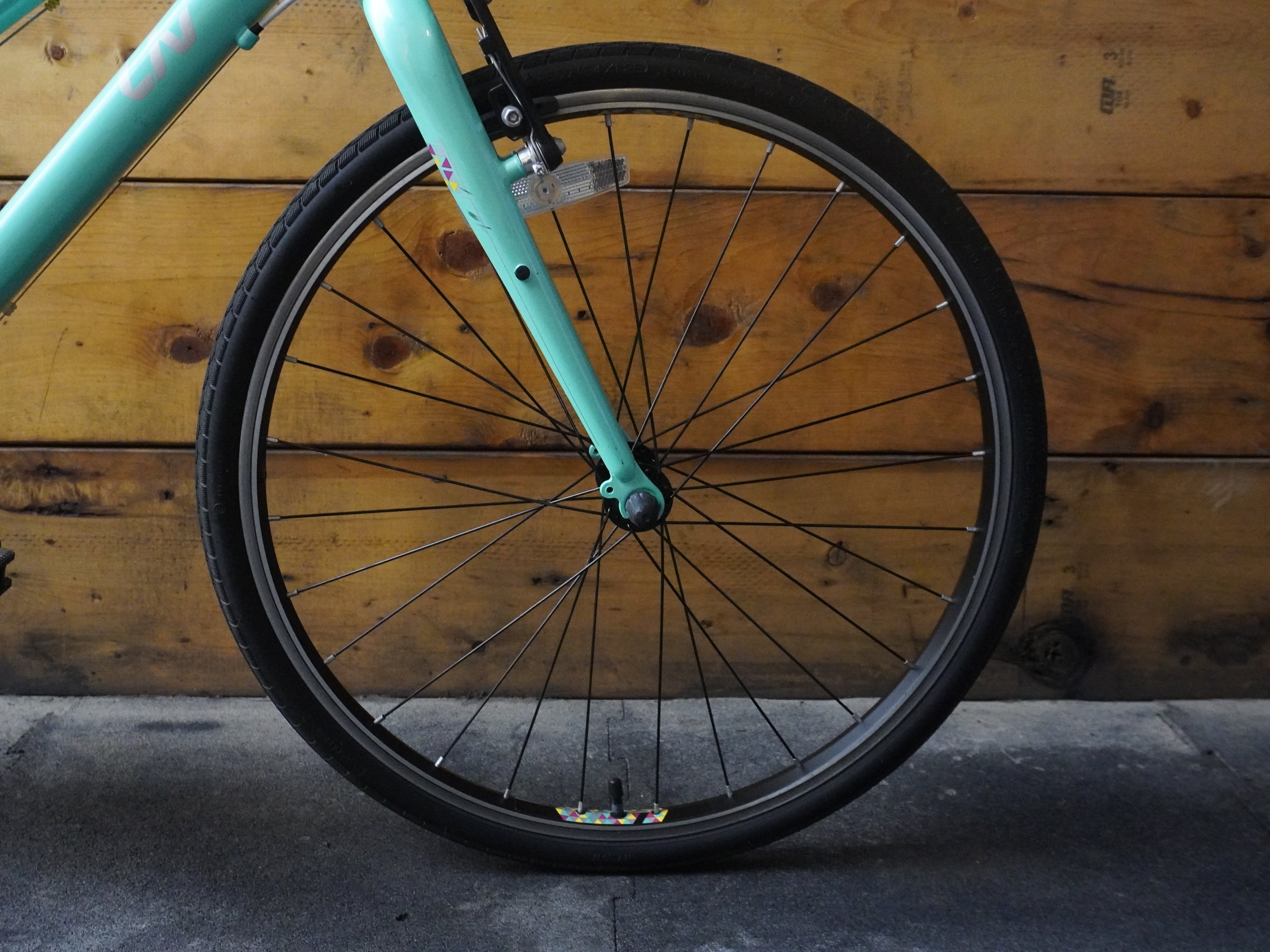 Liv Alight Kids Bike