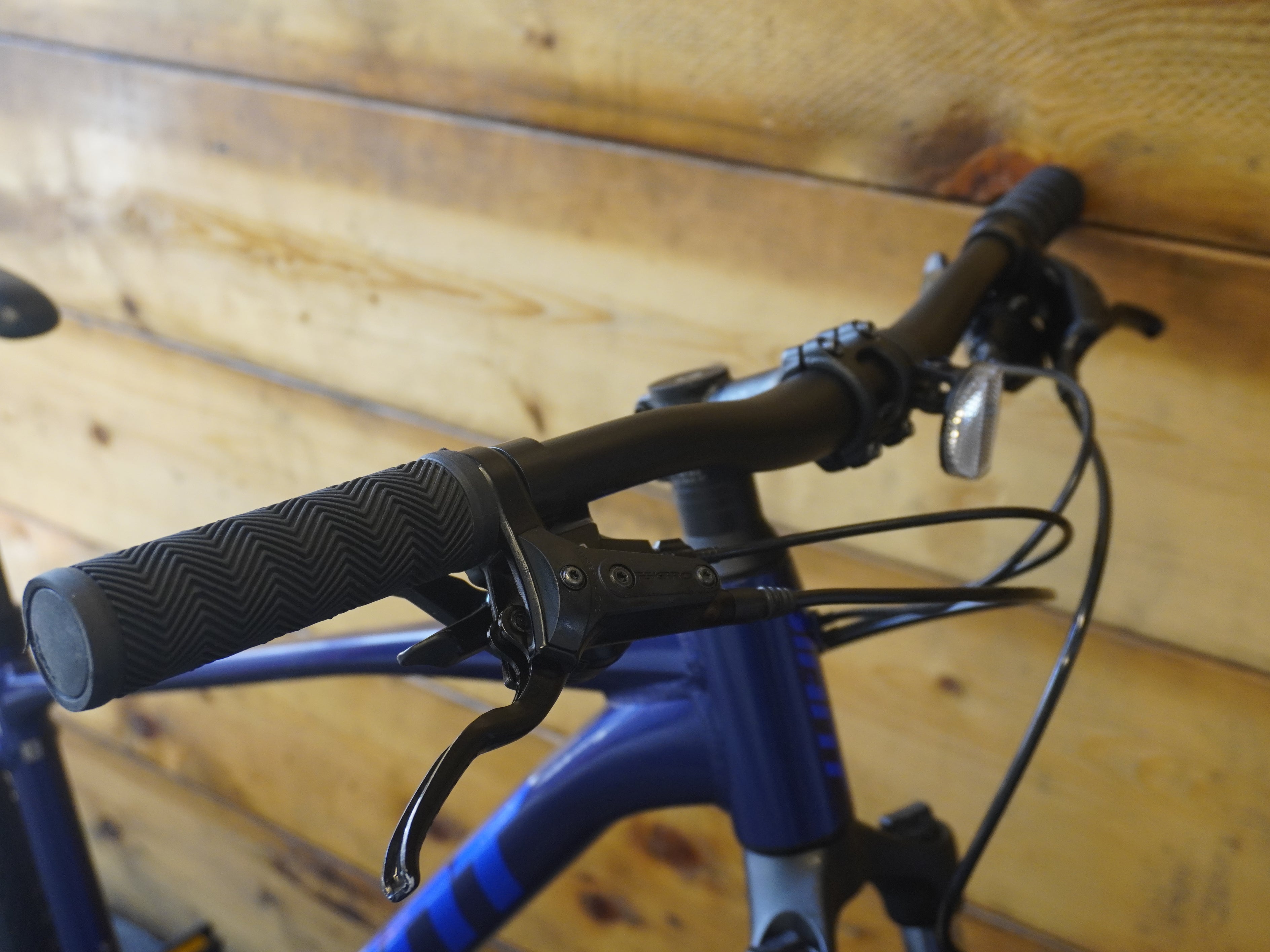 Giant Roam 4 Mountain Bike