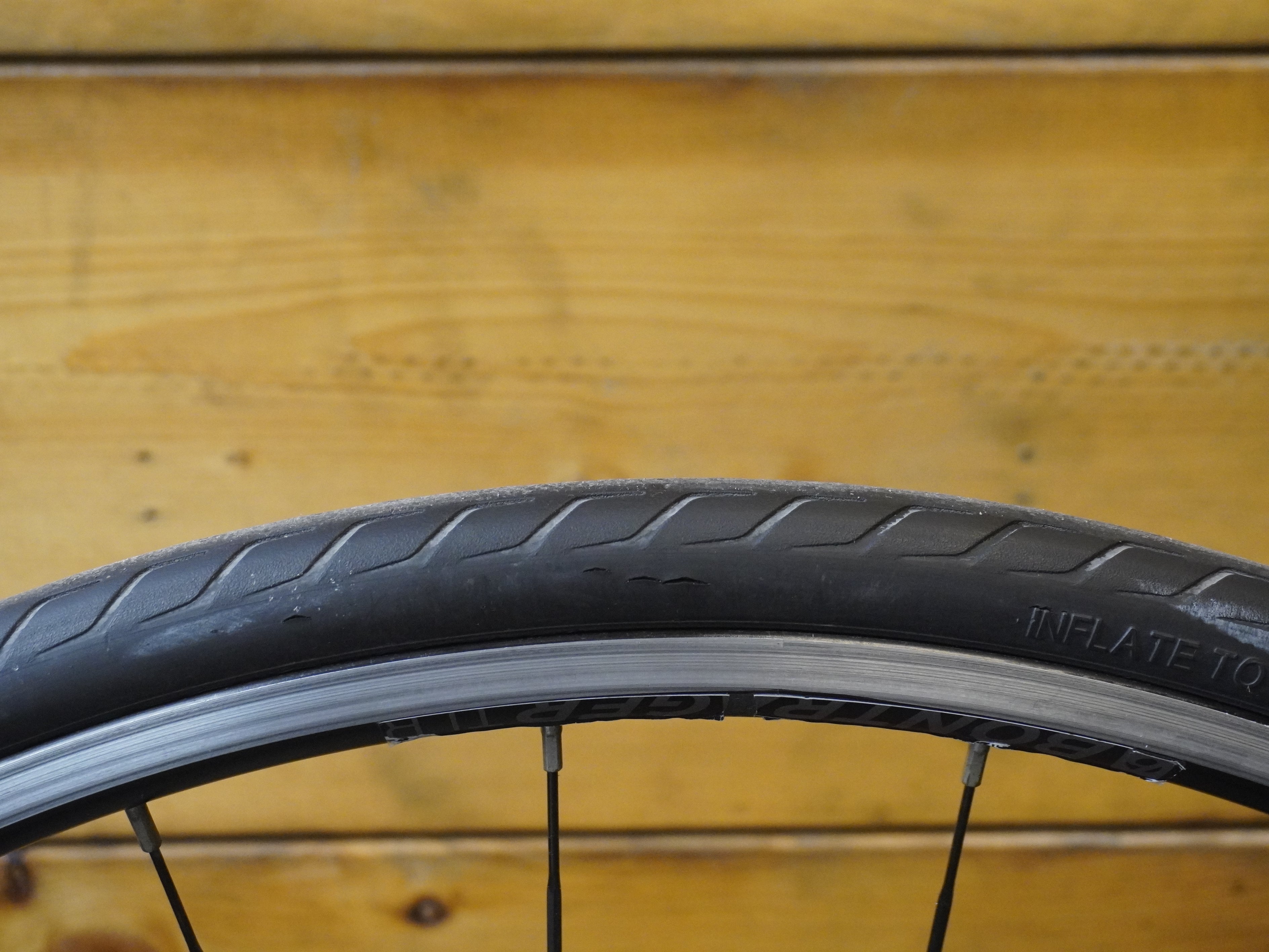 Trek Domane AL 2 Road Bike