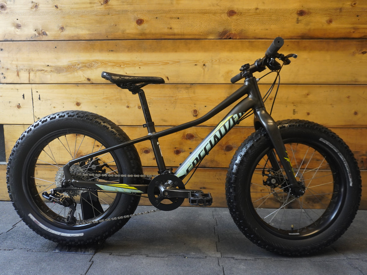 Specialized Fat Boy Kids Bike