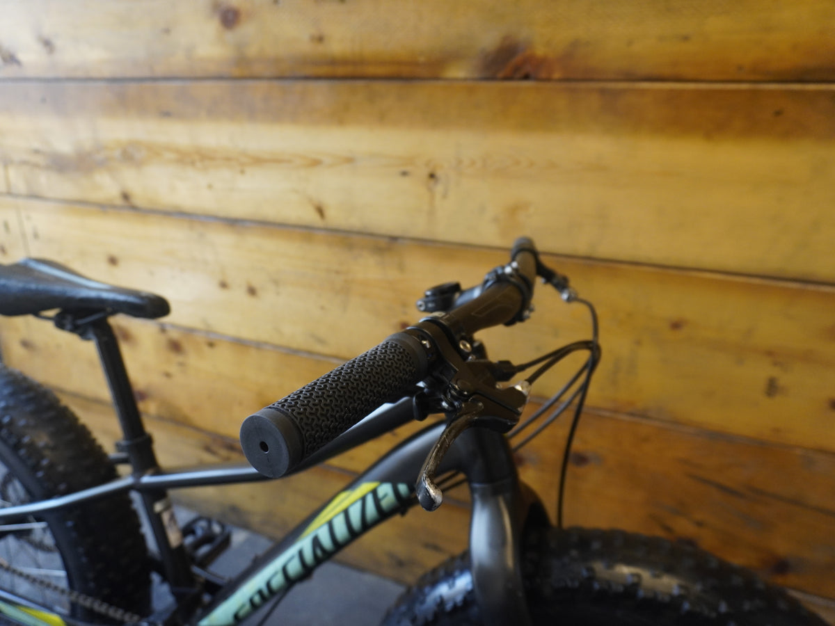 Specialized Fat Boy Kids Bike