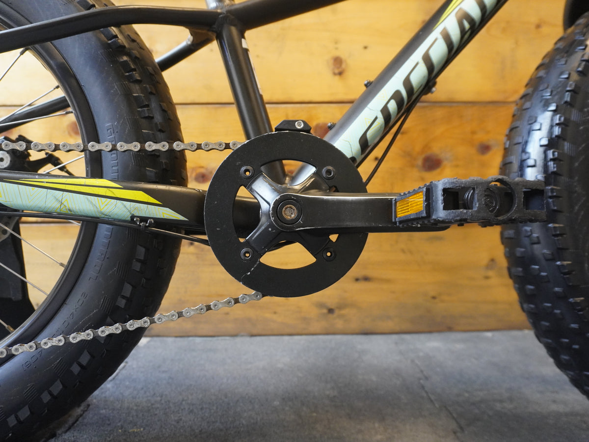 Specialized Fat Boy Kids Bike