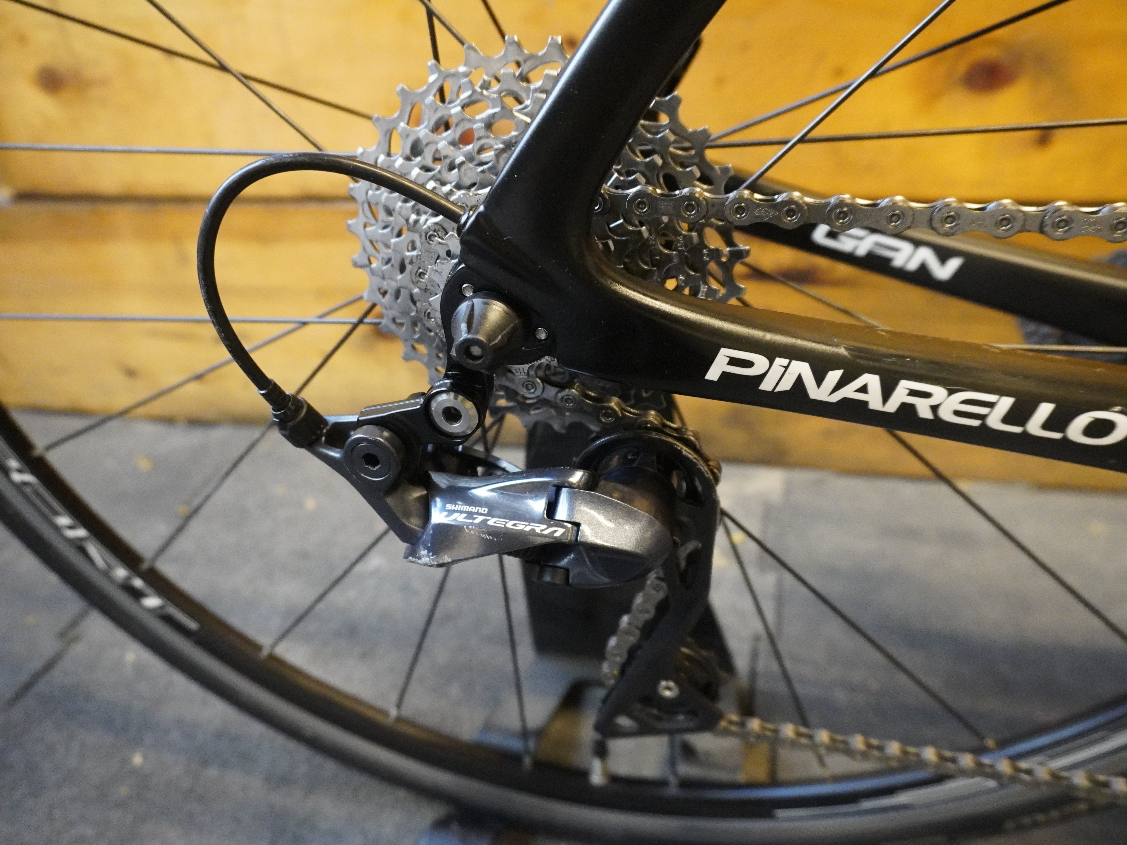 RENT Pinarello Gan Road Bike