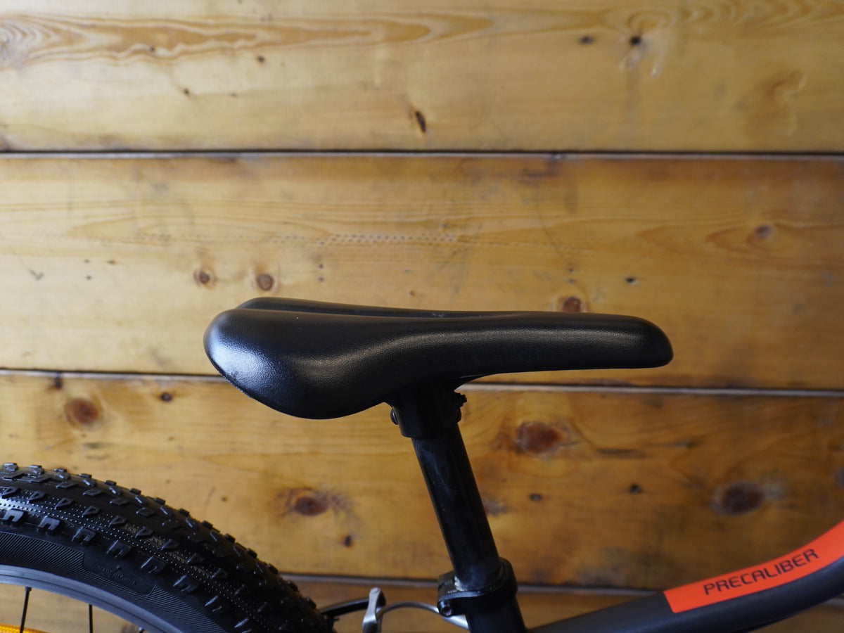 Trek Precaliber 20" Kids Bike