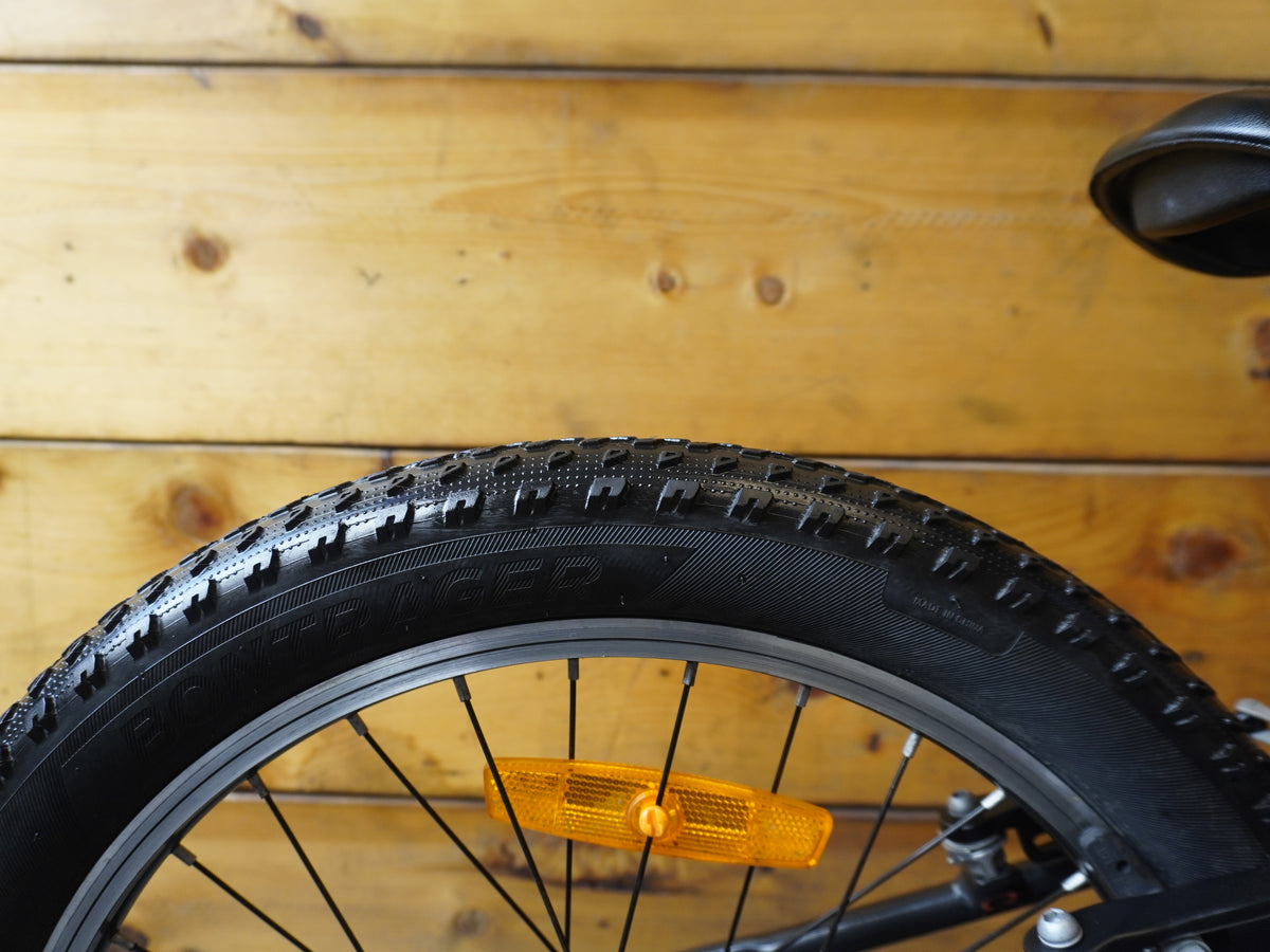 Trek Precaliber 20" Kids Bike
