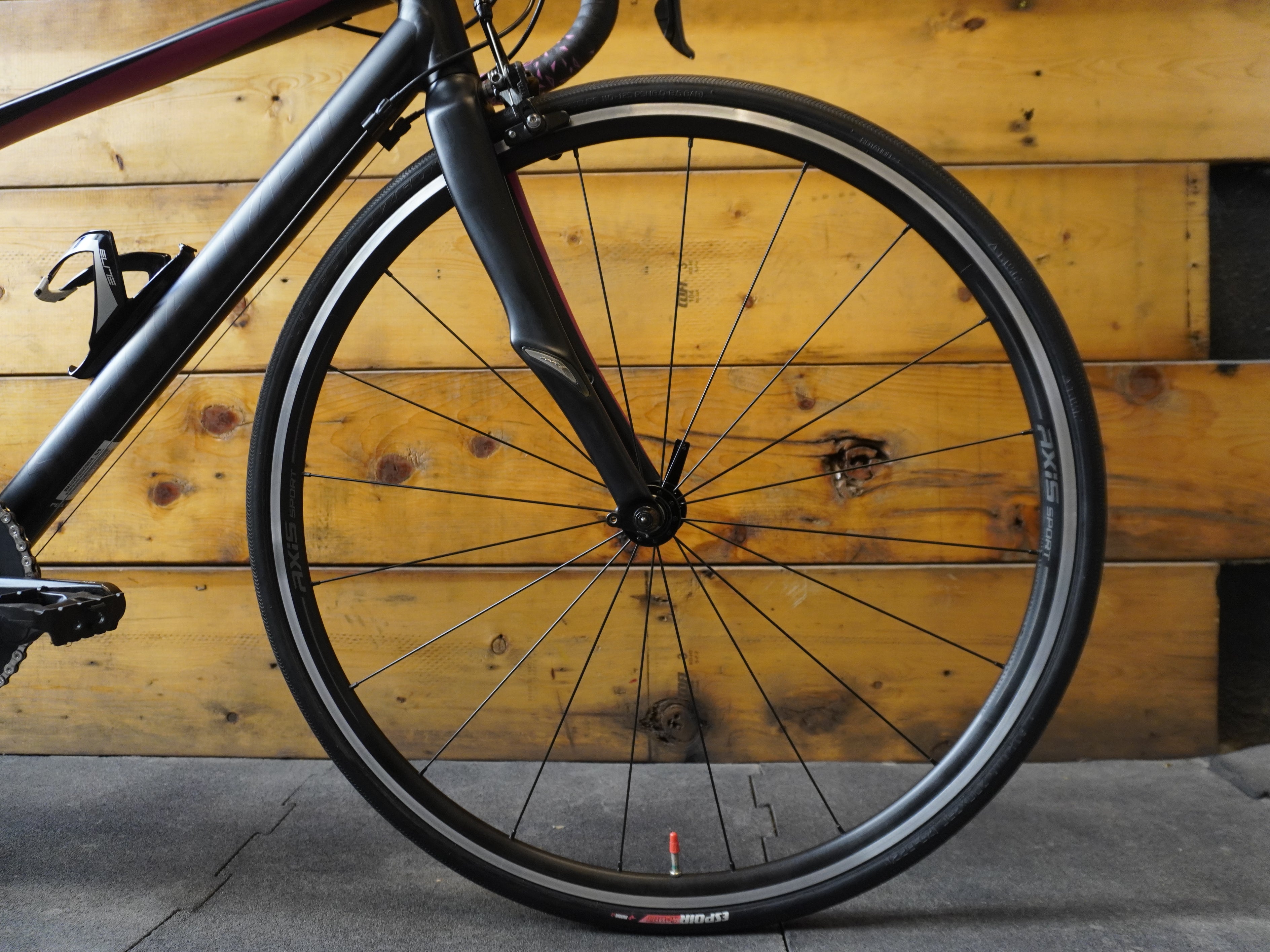 RENT Specialized Dolce Road Bike