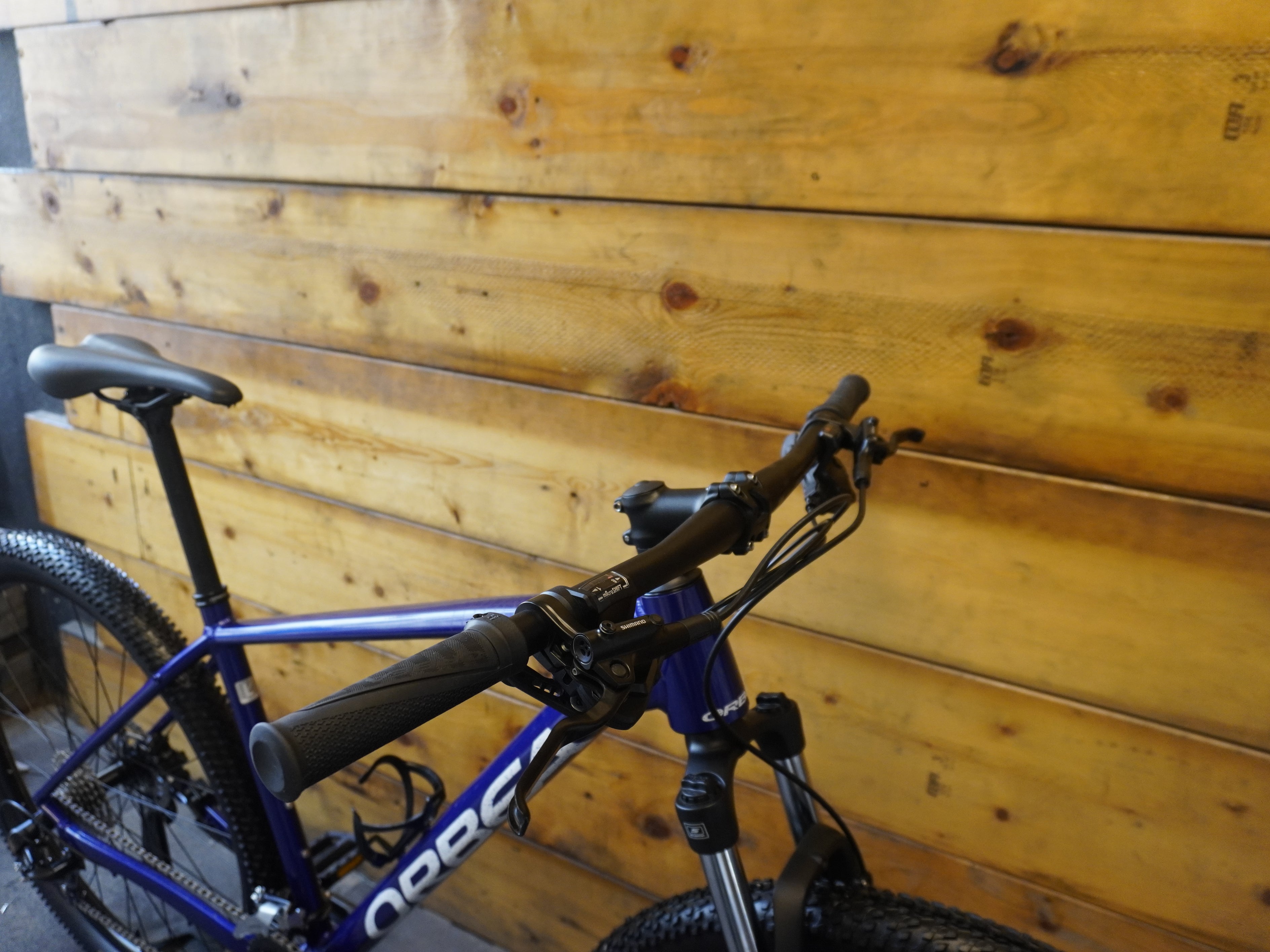 RENT Orbea Onna 50 Mountain Bike