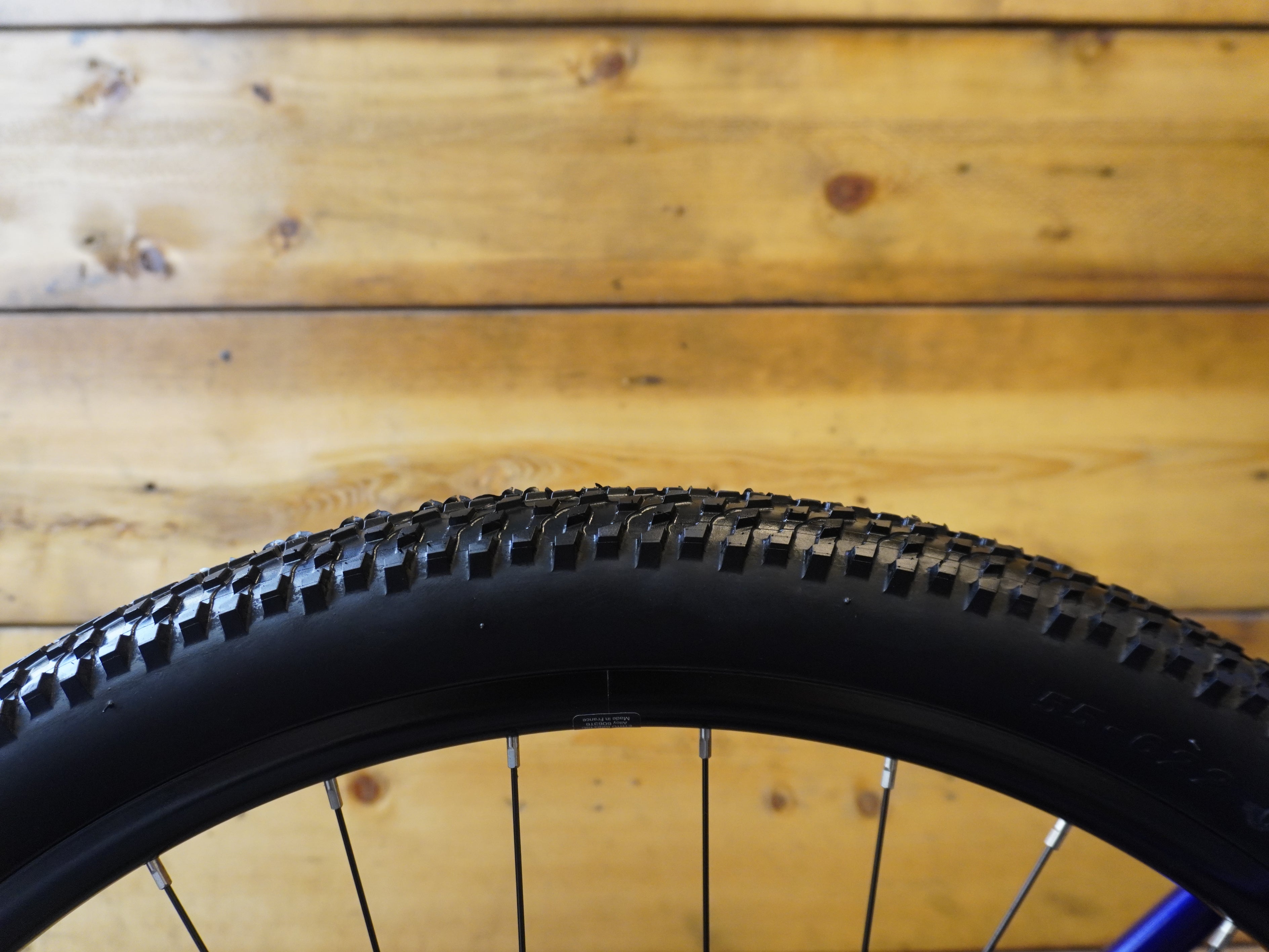 RENT Orbea Onna 50 Mountain Bike
