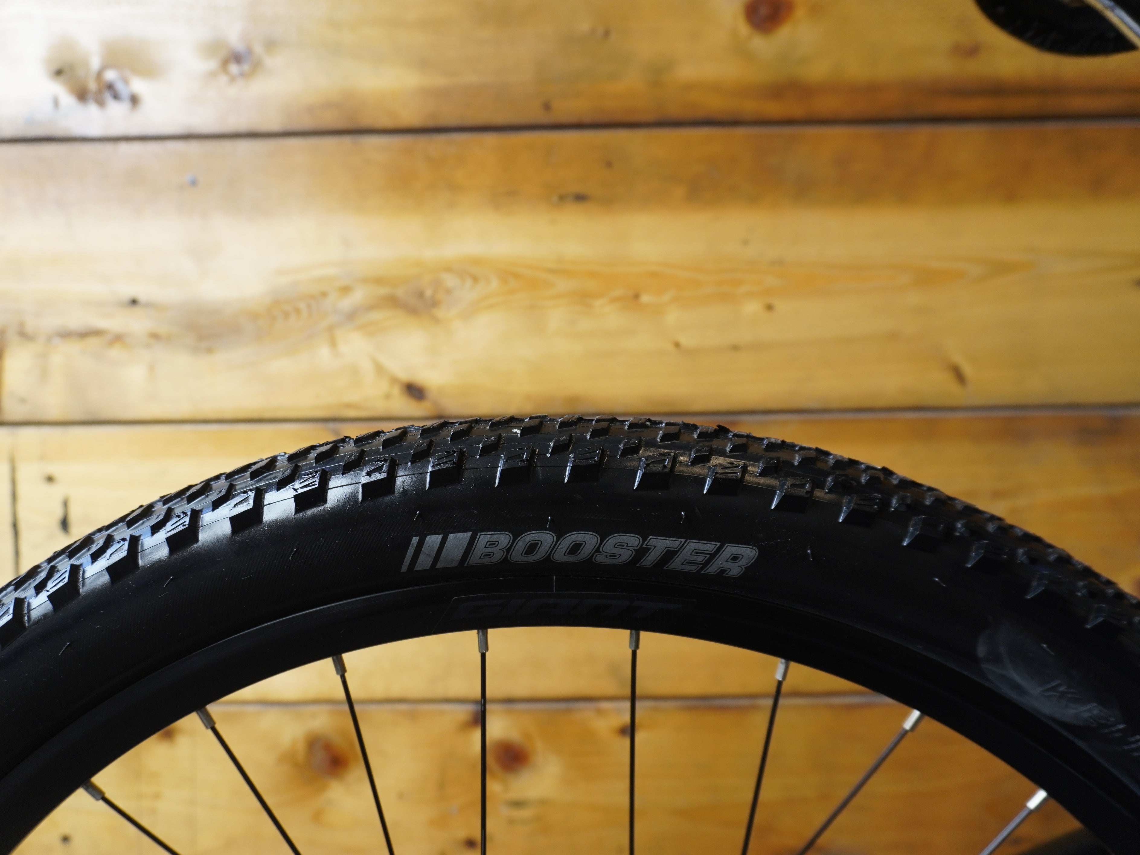 RENT Giant Talon 1 Mountain Bike