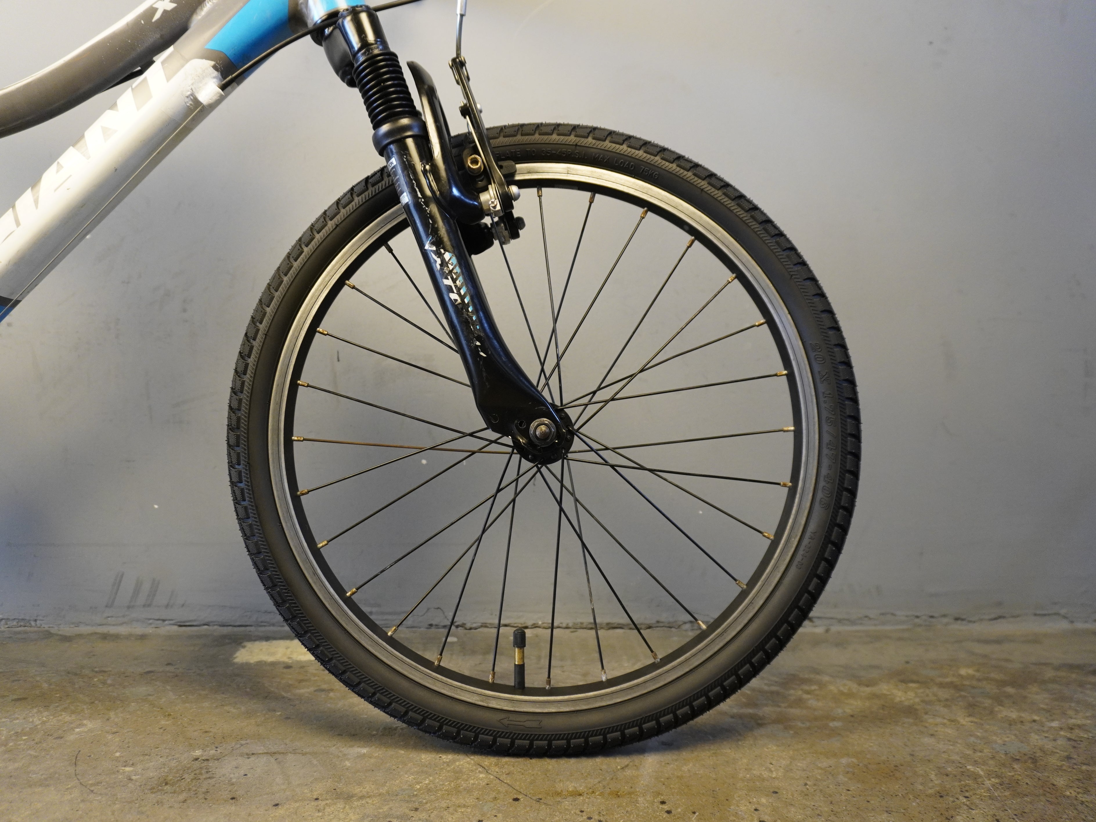 RENT Giant XTC JR Kids Bike