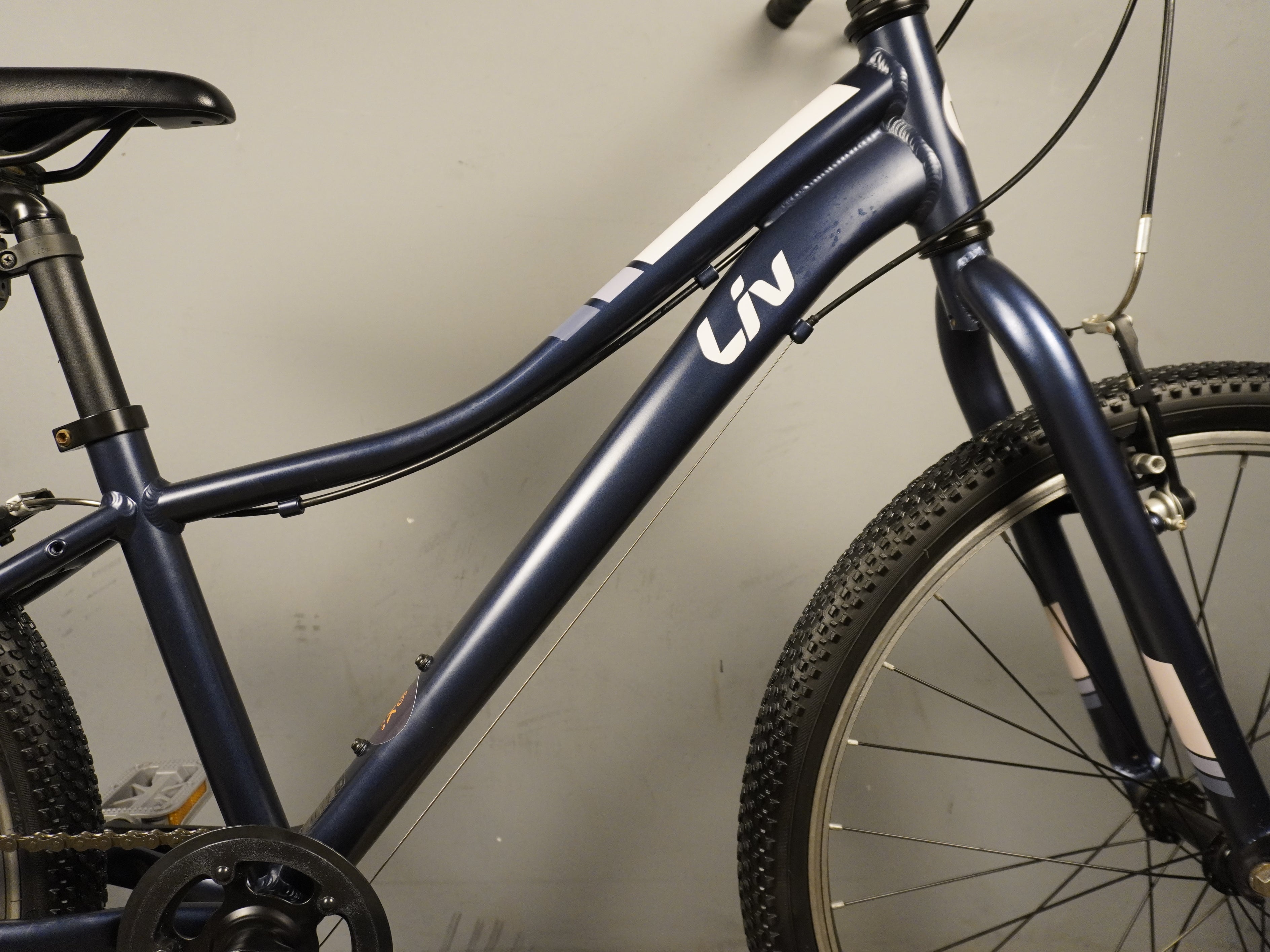 RENT Liv Enchant Kids Bike