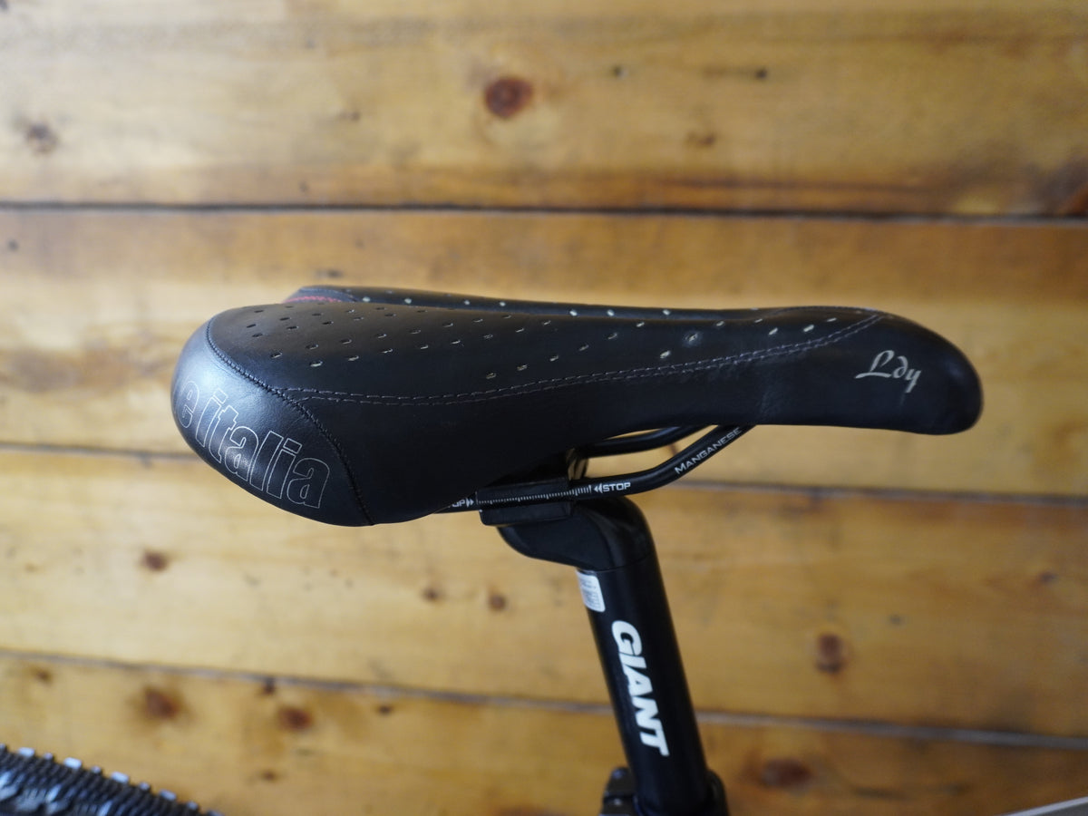RENT Giant Roam XR 2 Hybrid Bike