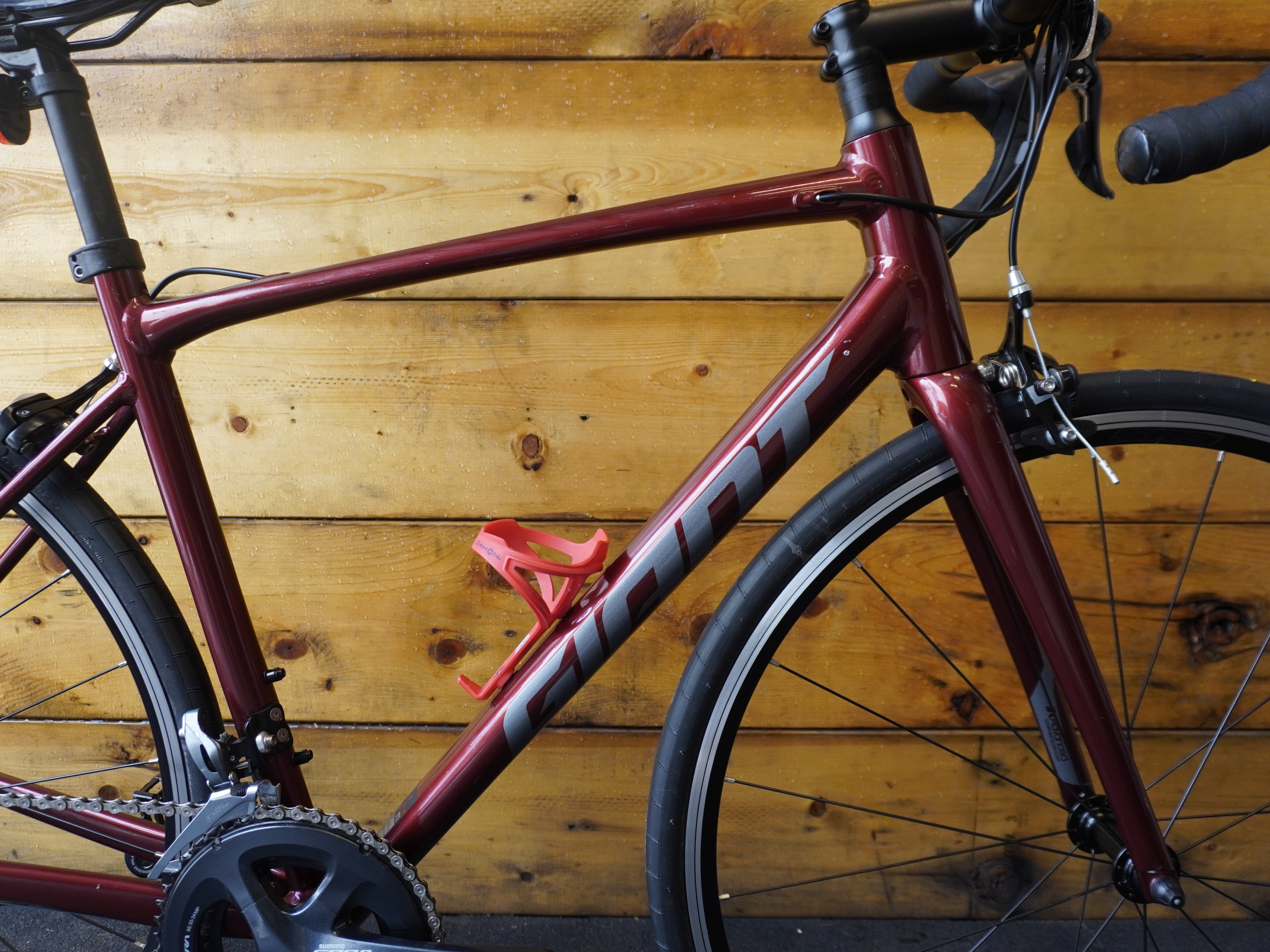 RENT Giant Content 1 Road Bike
