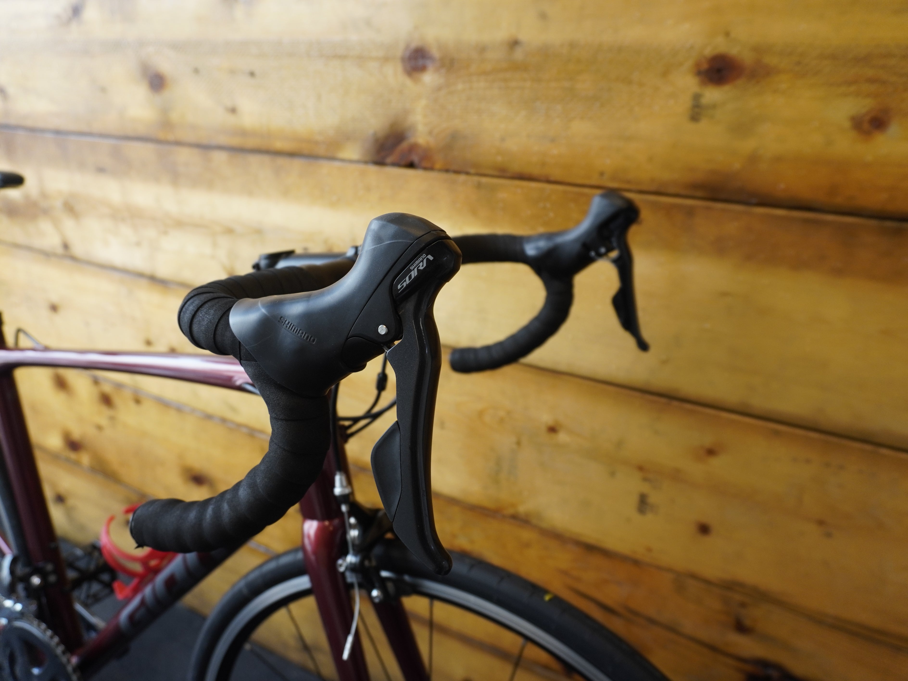 RENT Giant Content 1 Road Bike