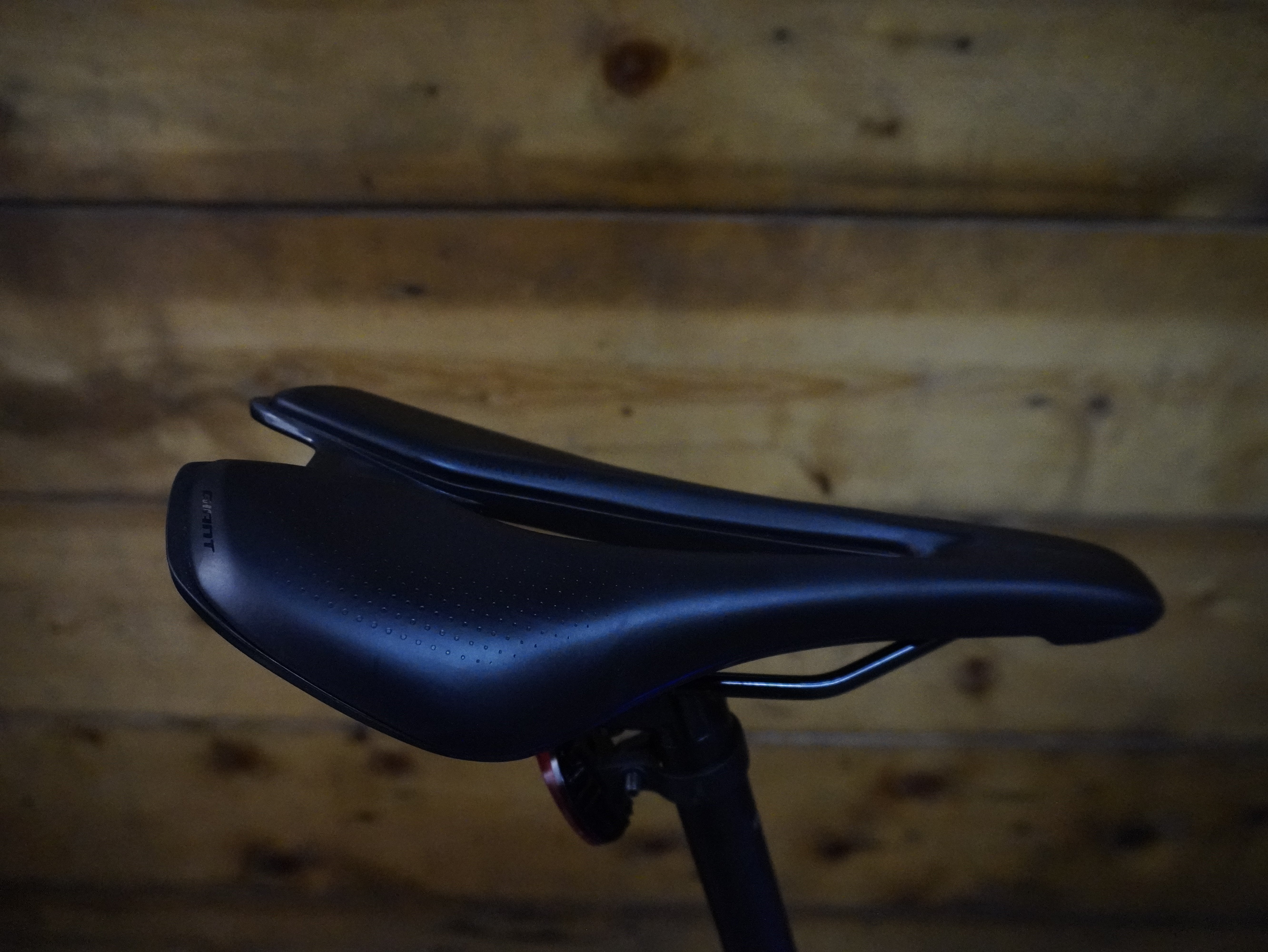 RENT Giant Revolt 2 Gravel Bike