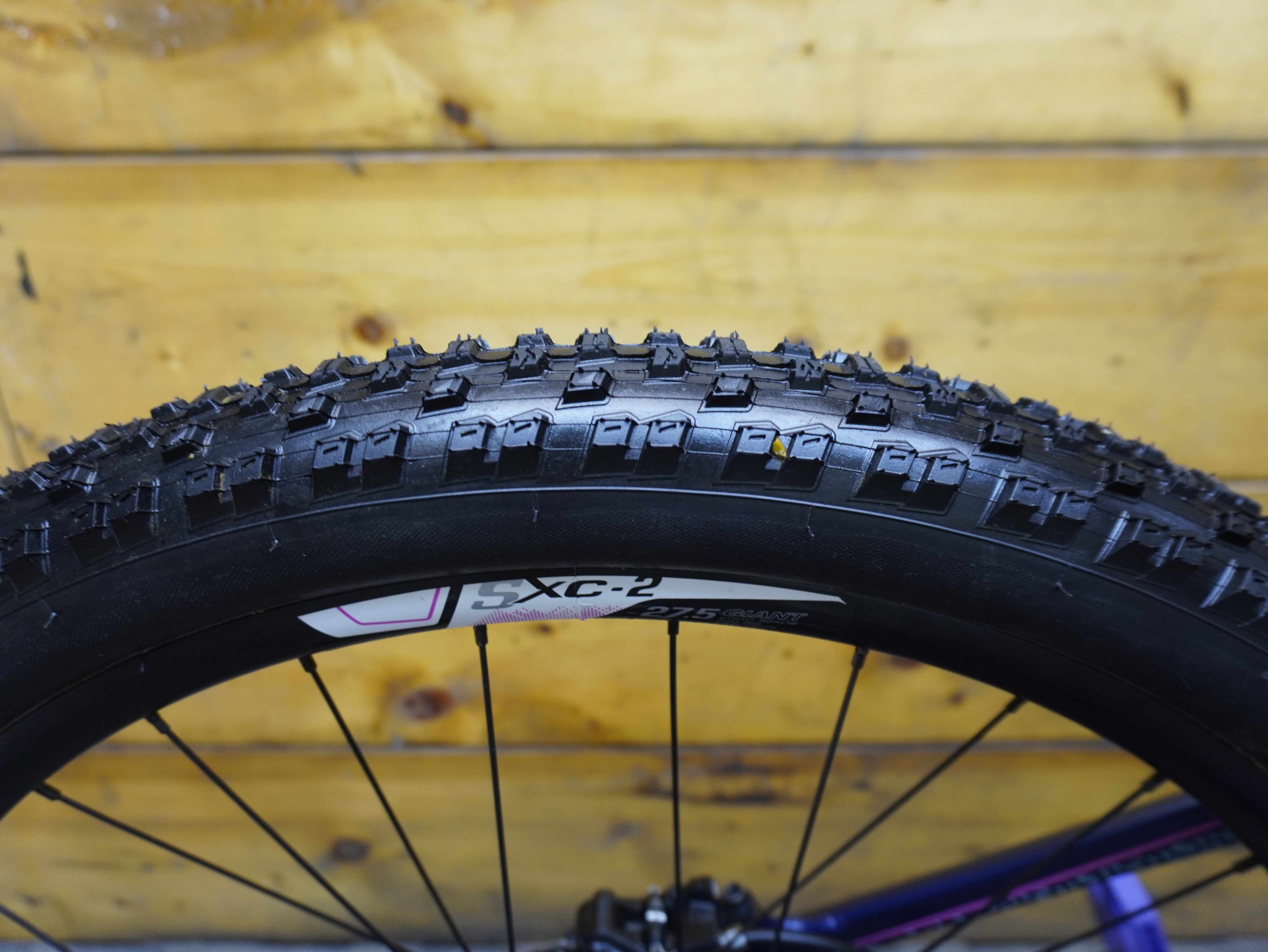 Liv Intrigue 2 Mountain Bike