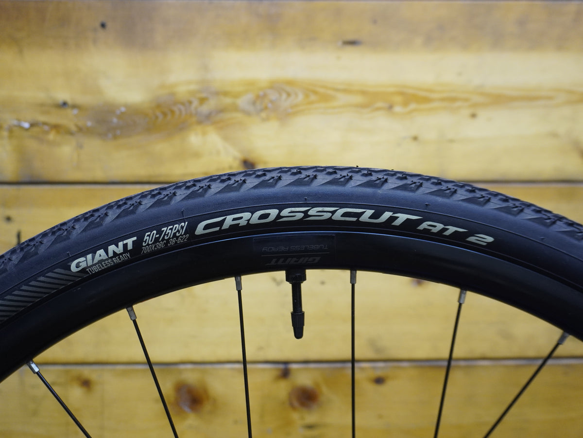 Giant Revolt 2 Gravel Bike