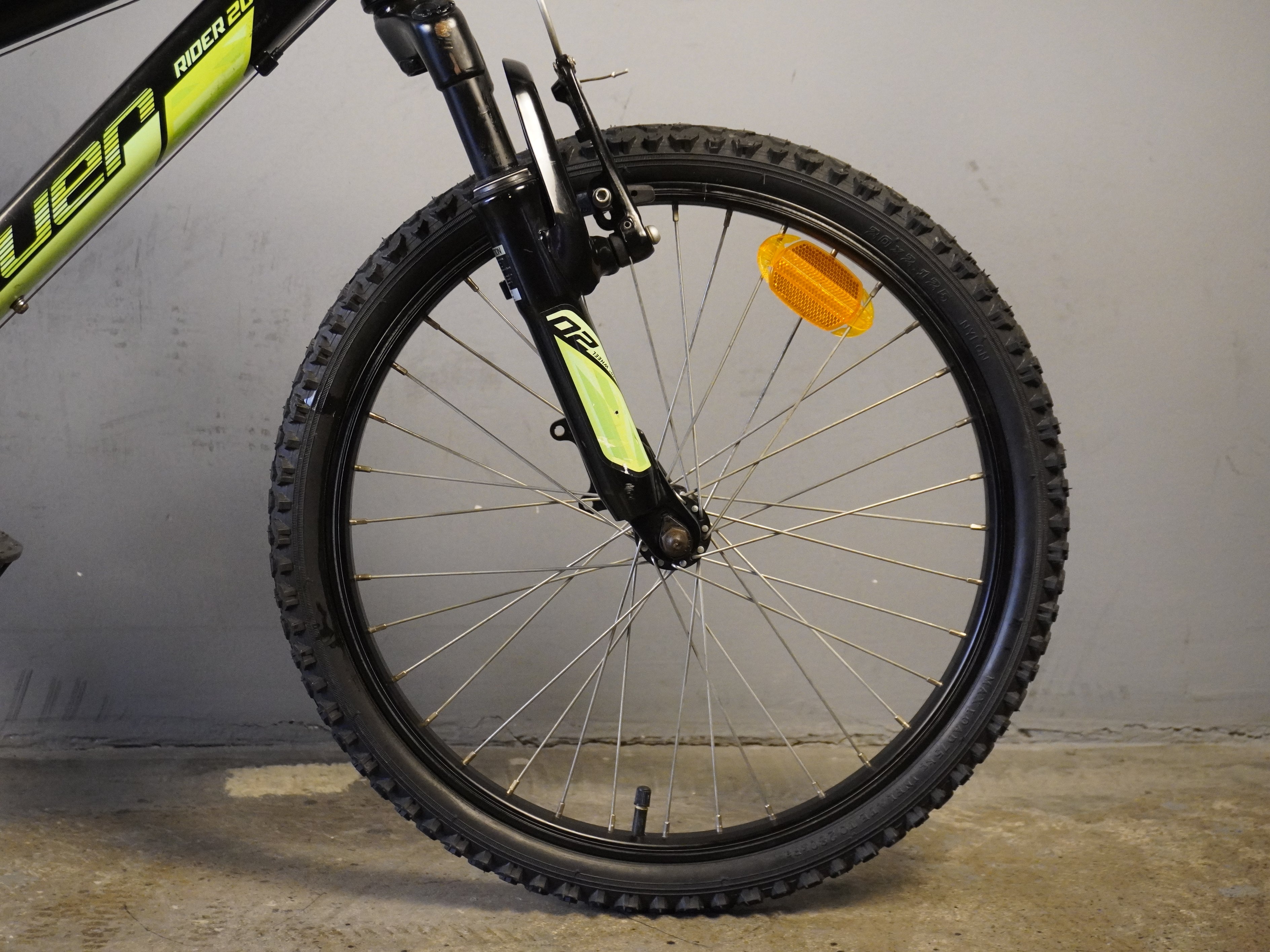 Coluer Rider20 Kids Bike