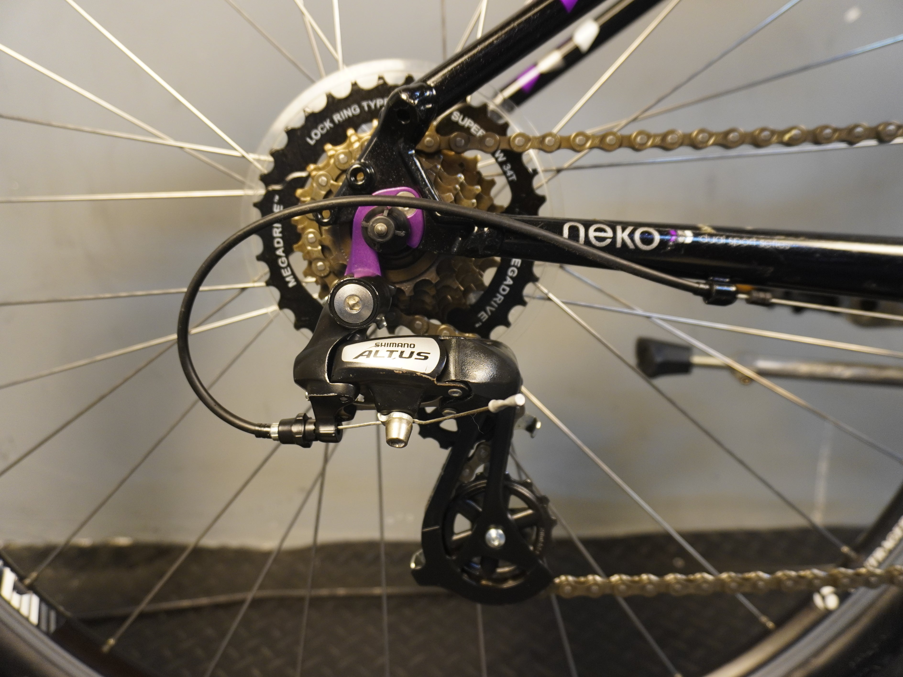 RENT Trek Neko Mountain Bike