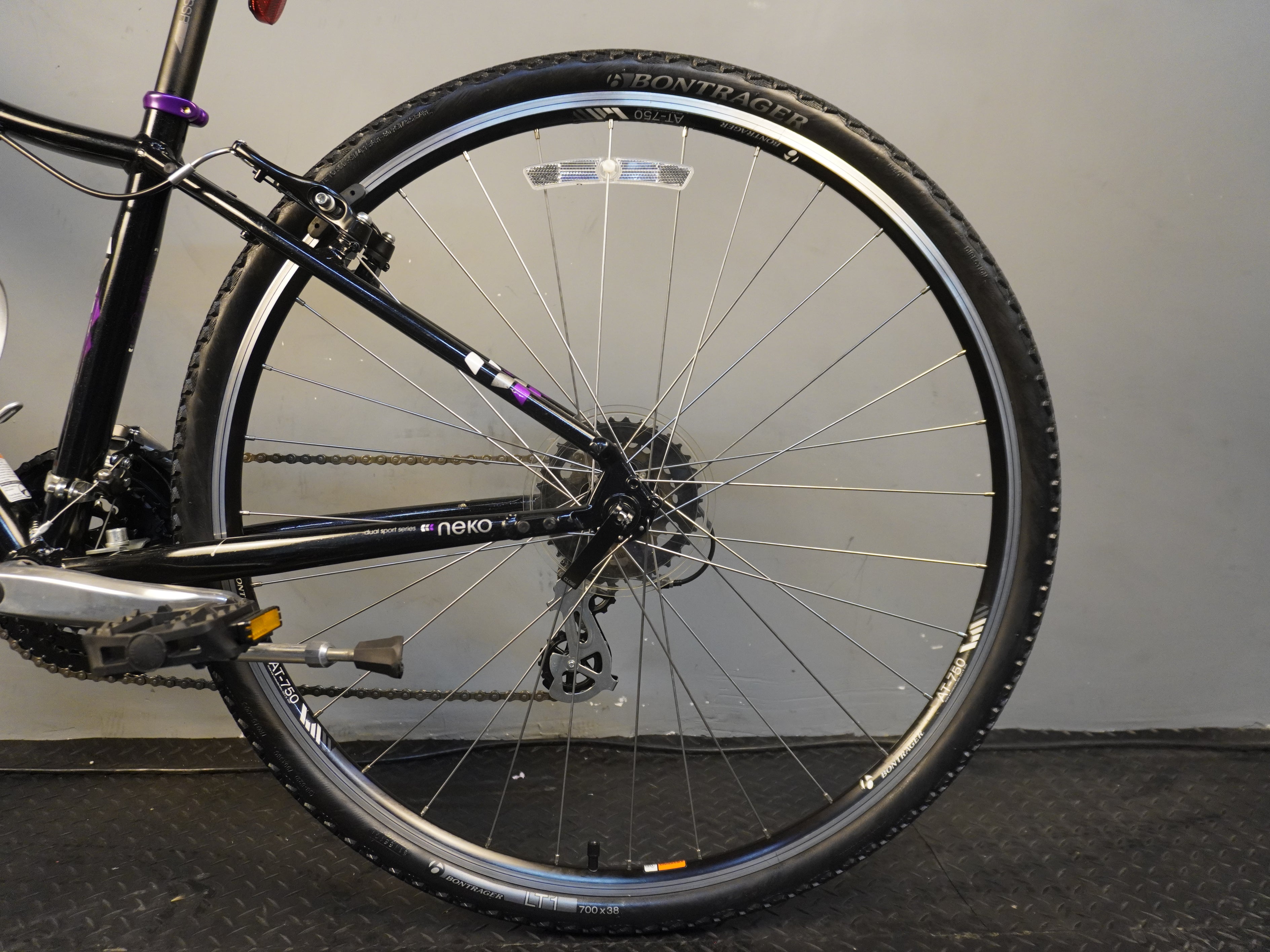 RENT Trek Neko Mountain Bike