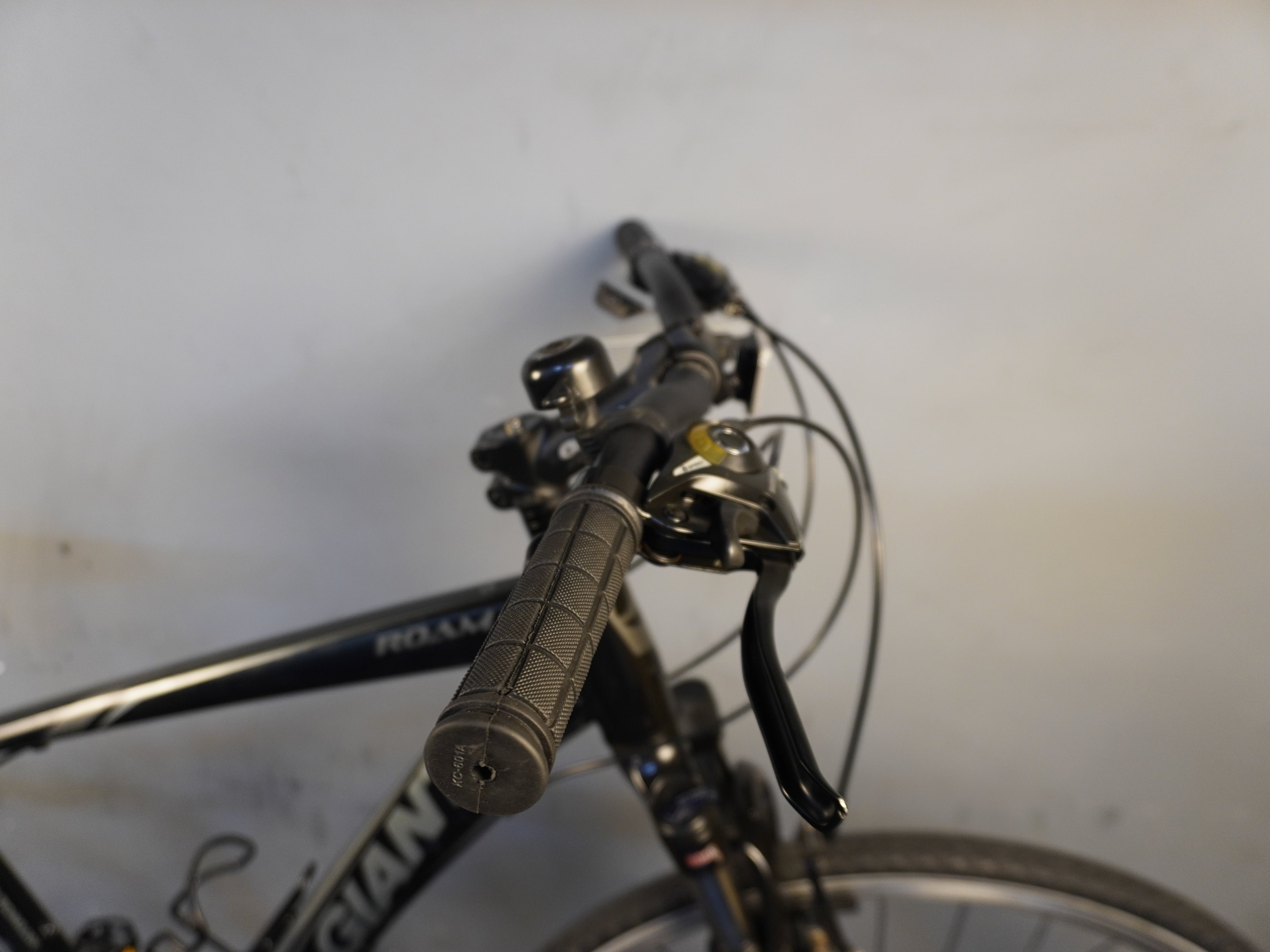 Giant Roam 3 Mountain Bike