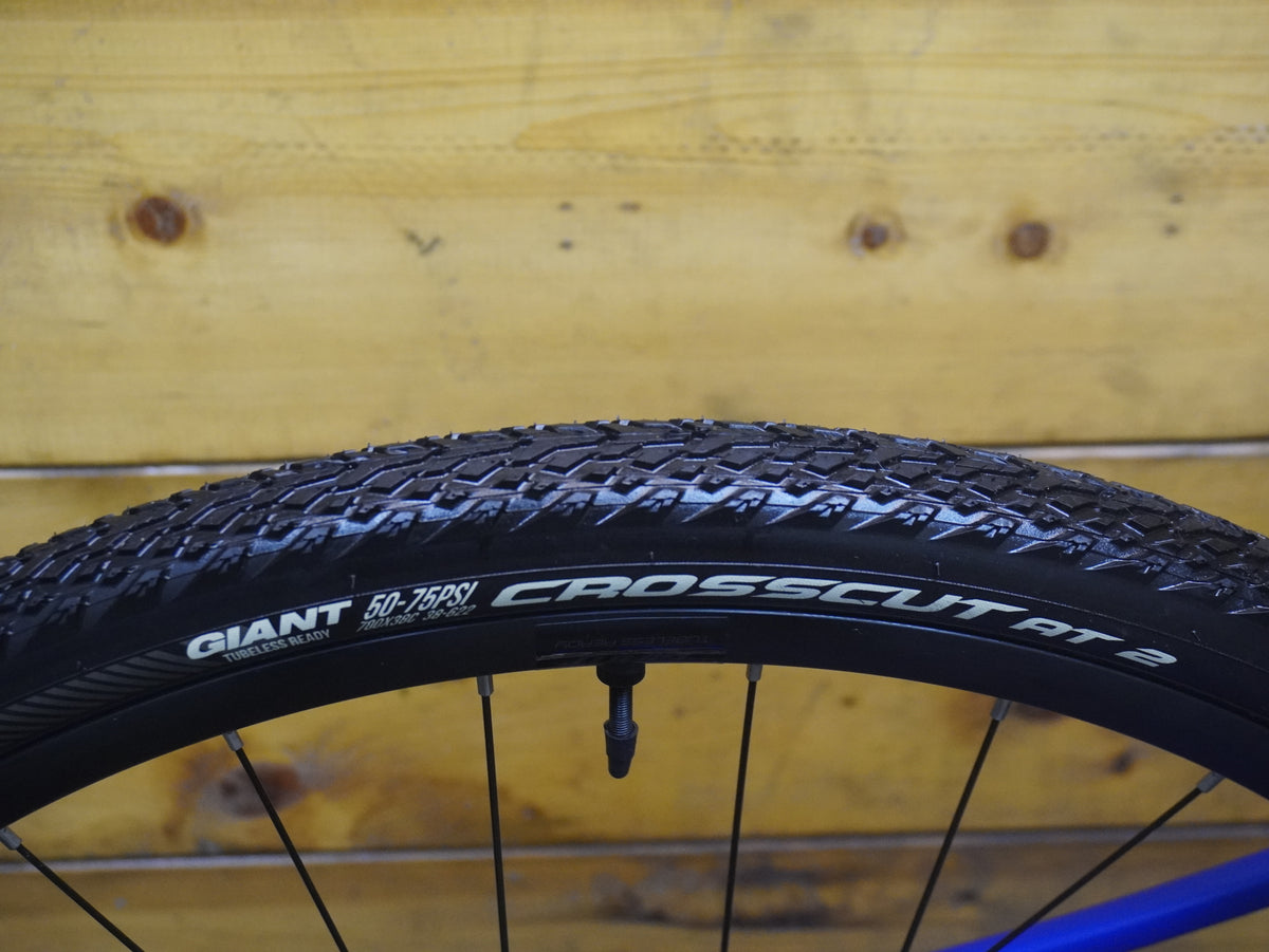 Giant Revolt 2 Gravel Bike